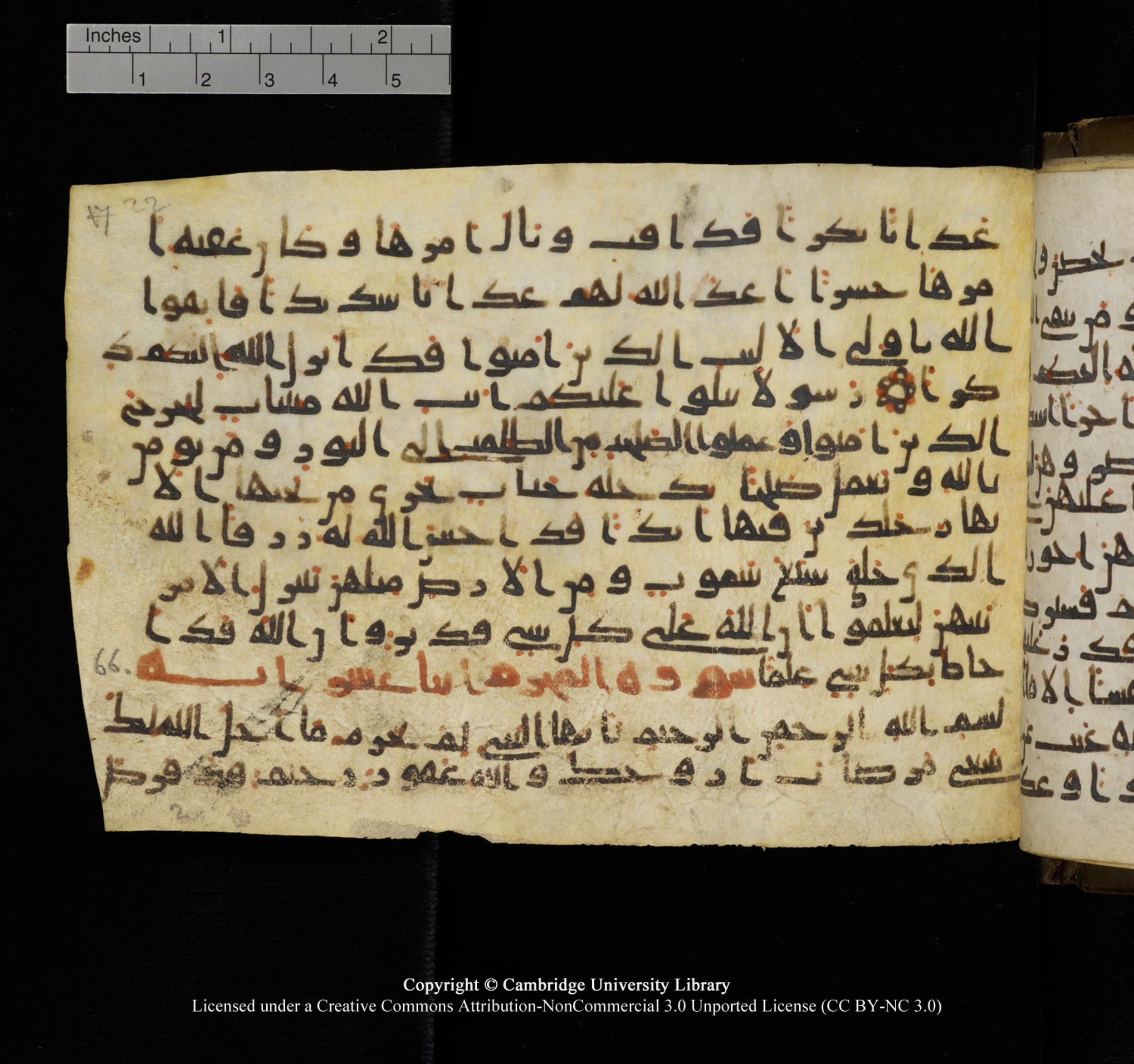 Cambridge University Library, MS Add.1150 (Scan 2), in Unidentified script, showing Surah 65:8 from 9th or 10th Century AD found in Sinai Peninsula, currently housed at Cambridge University Library, Cambridge, UK