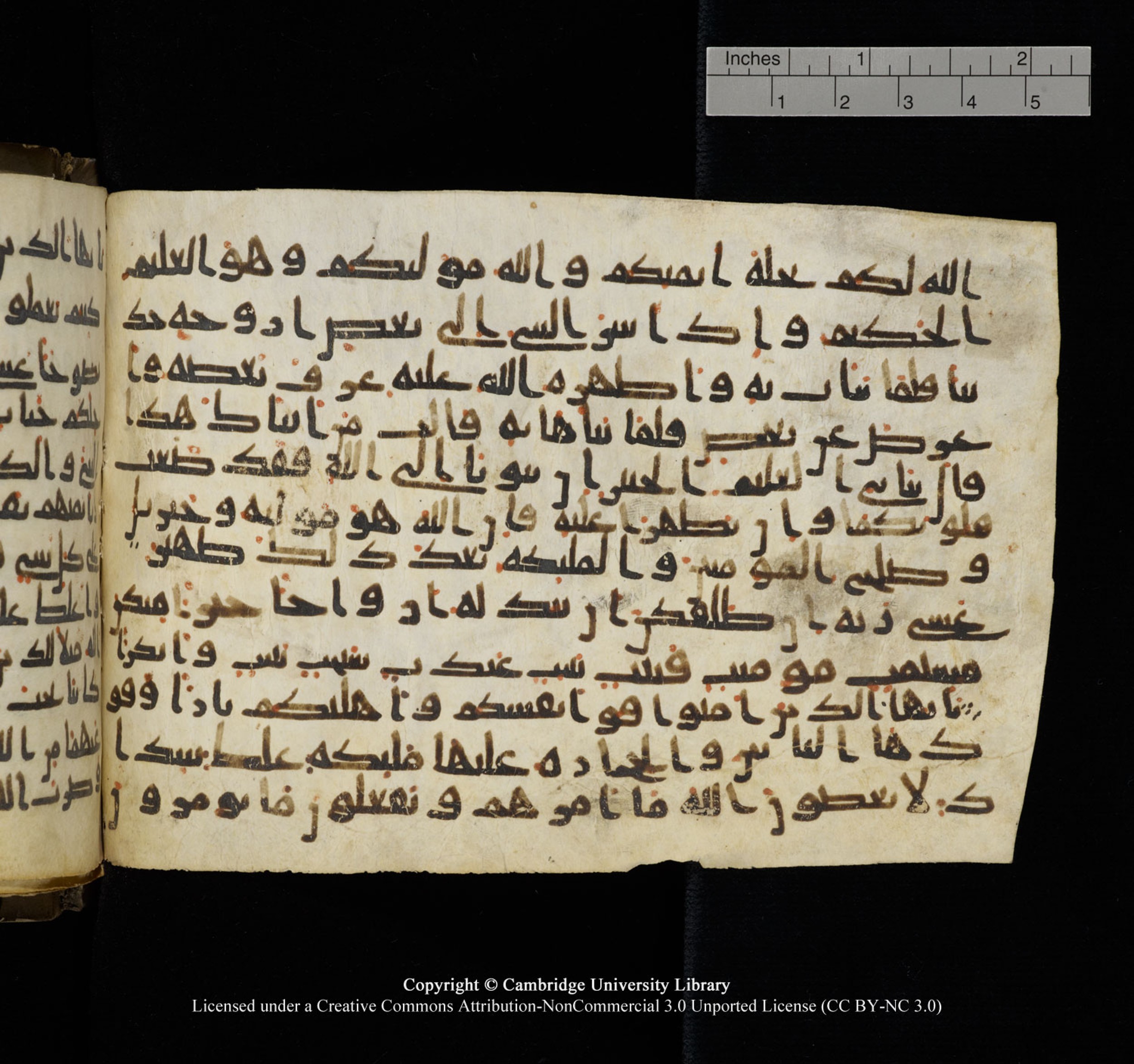 Cambridge University Library, MS Add.1150, in Unidentified script, showing Surah 66:6 from 9th or 10th Century AD found in Sinai Peninsula, currently housed at Cambridge University Library, Cambridge, UK