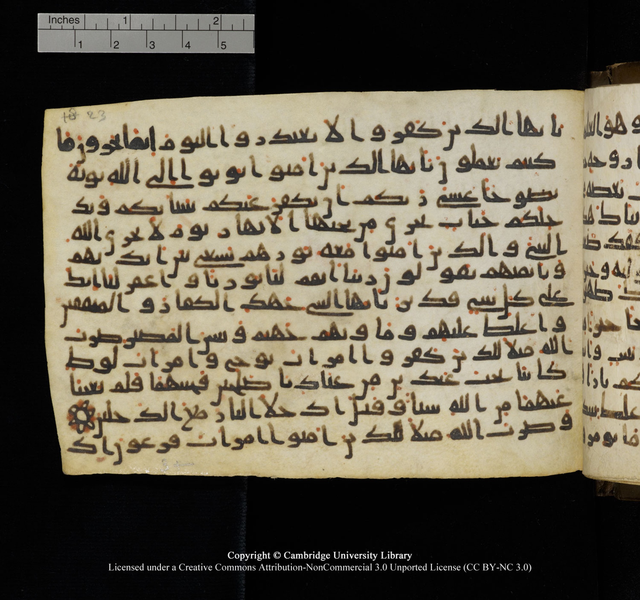 Cambridge University Library, MS Add.1150, in Unidentified script, showing Surah 66:7 from 9th or 10th Century AD found in Sinai Peninsula, currently housed at Cambridge University Library, Cambridge, UK