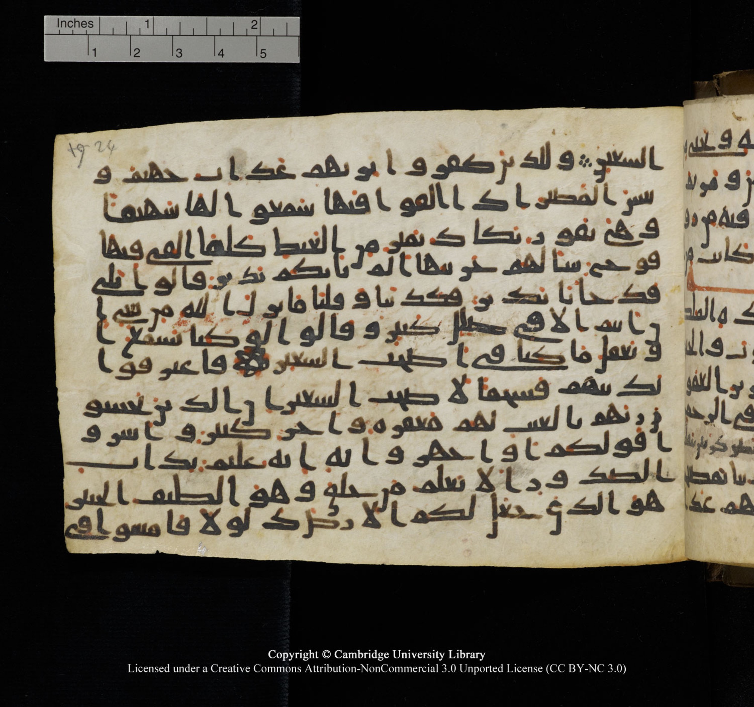 Cambridge University Library, MS Add.1150, in Unidentified script, showing Surah 67:7 from 9th or 10th Century AD found in Sinai Peninsula, currently housed at Cambridge University Library, Cambridge, UK
