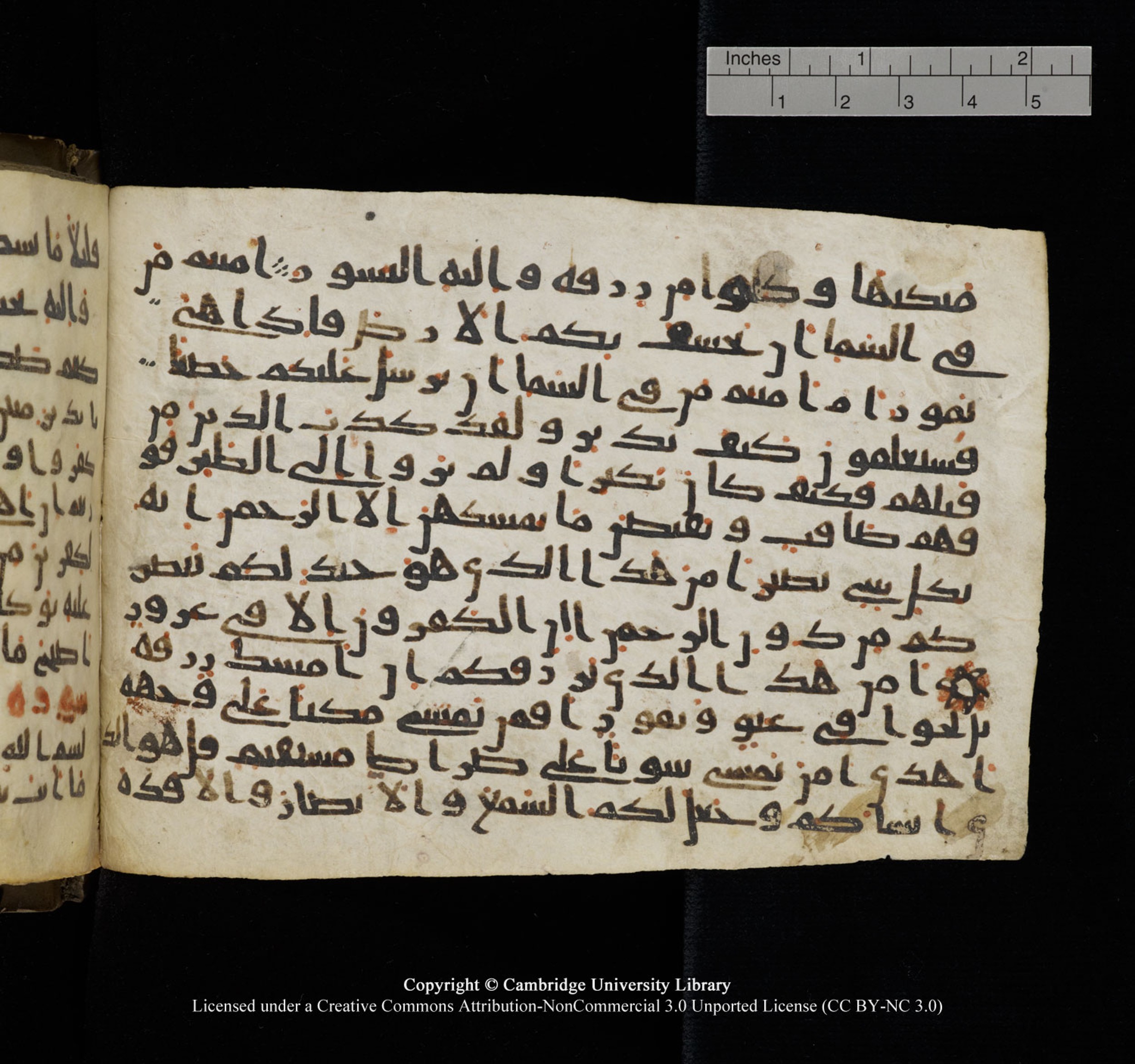 Cambridge University Library, MS Add.1150, in Unidentified script, showing Surah 67:21 from 9th or 10th Century AD found in Sinai Peninsula, currently housed at Cambridge University Library, Cambridge, UK