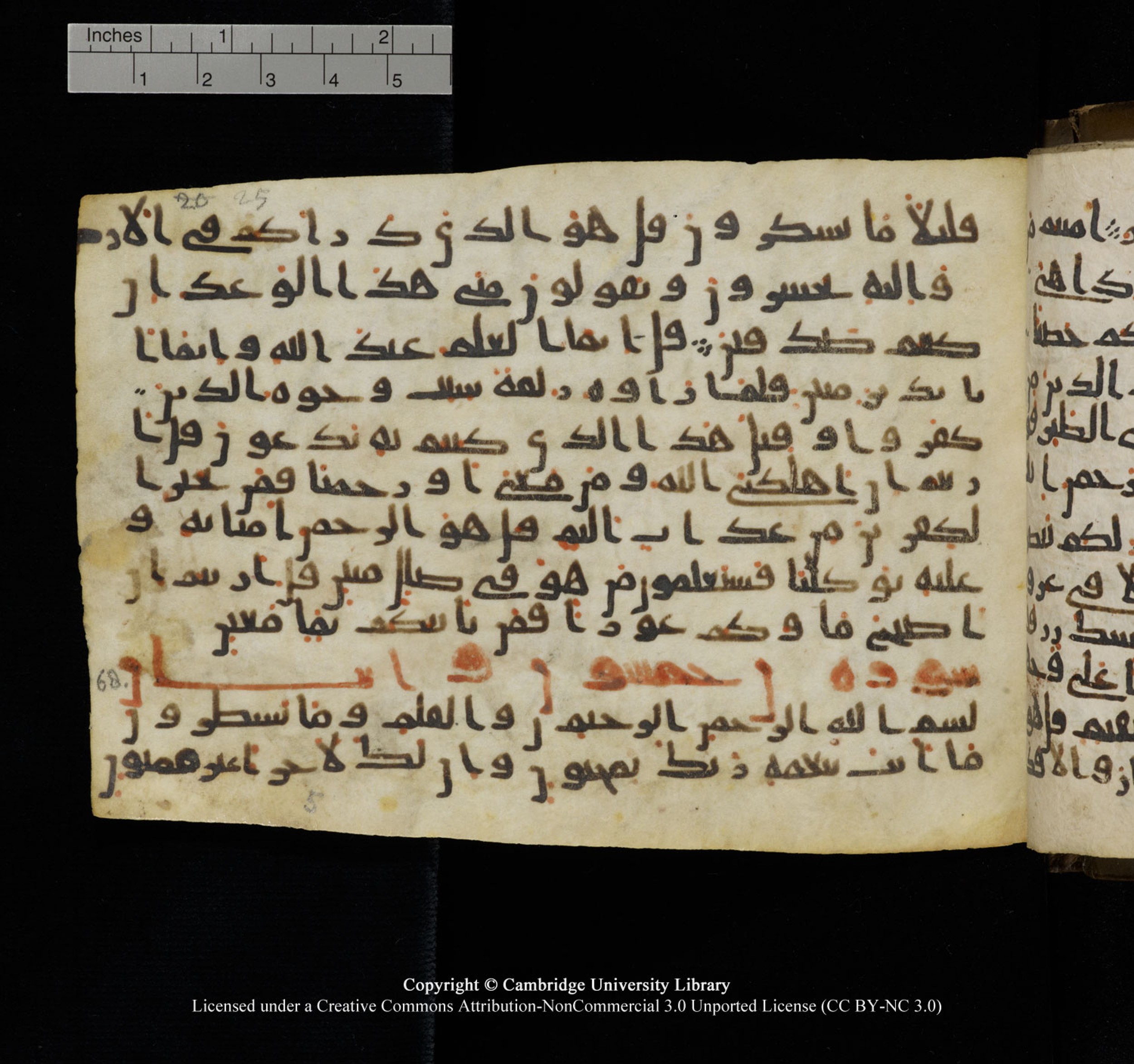Cambridge University Library, MS Add.1150, in Unidentified script, showing Surah 68:2 from 9th or 10th Century AD found in Sinai Peninsula, currently housed at Cambridge University Library, Cambridge, UK