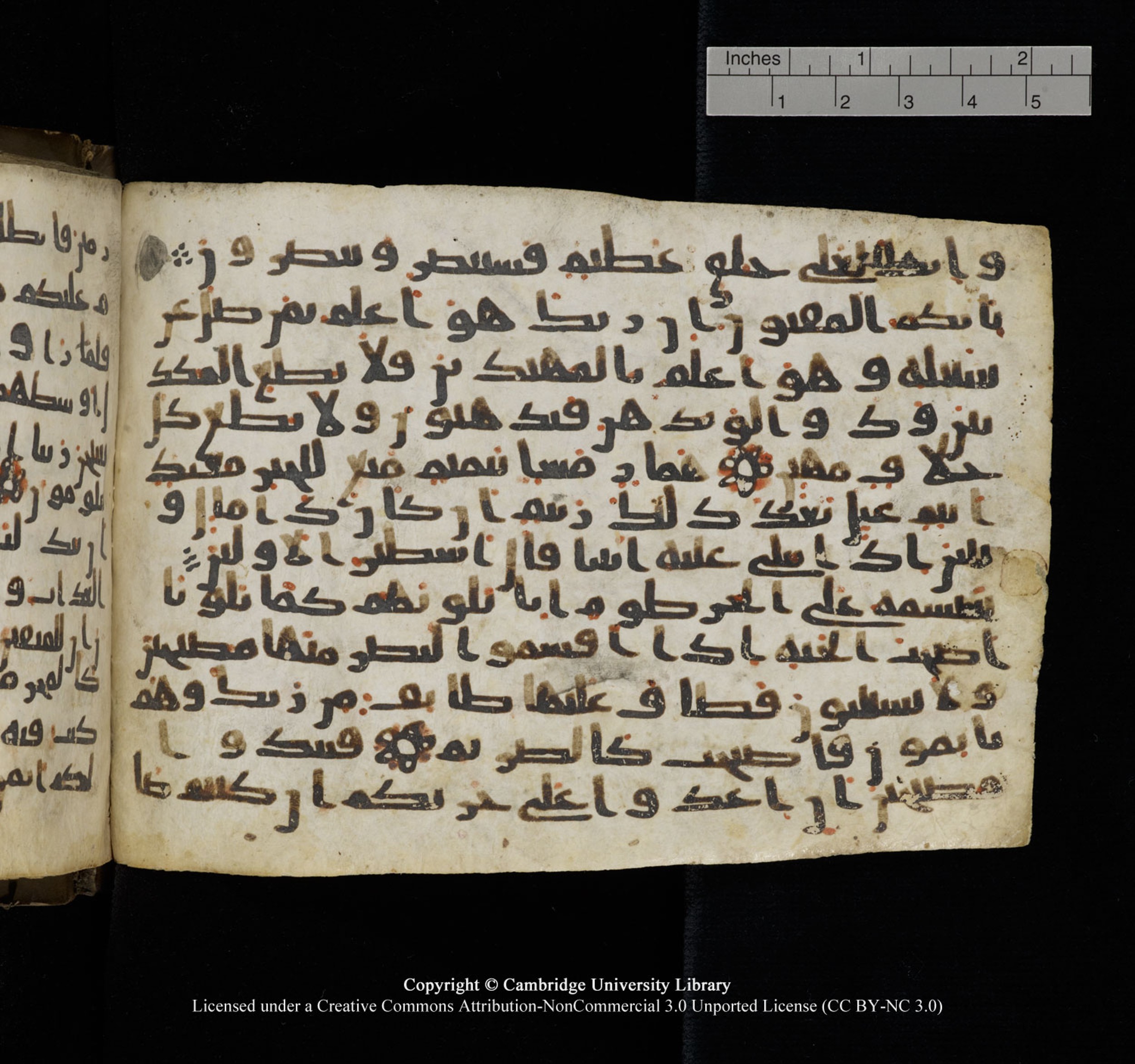Cambridge University Library, MS Add.1150, in Unidentified script, showing Surah 68:13 from 9th or 10th Century AD found in Sinai Peninsula, currently housed at Cambridge University Library, Cambridge, UK