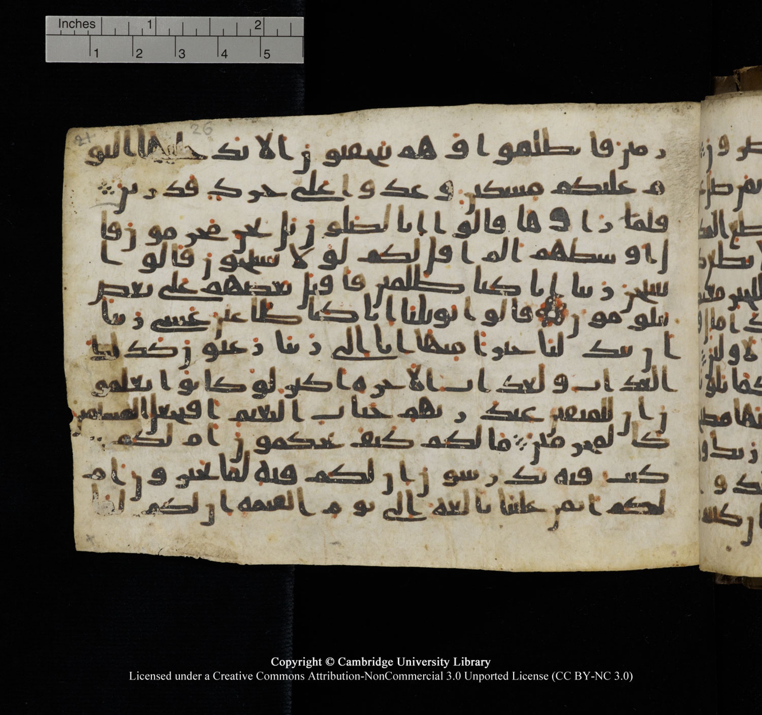 Cambridge University Library, MS Add.1150, in Unidentified script, showing Surah 68:32 from 9th or 10th Century AD found in Sinai Peninsula, currently housed at Cambridge University Library, Cambridge, UK