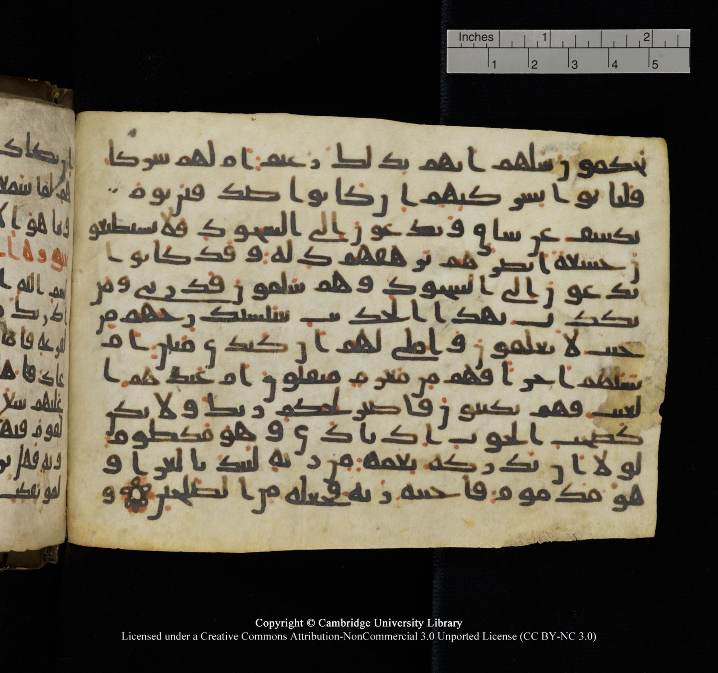 Cambridge University Library, MS Add.1150, in Unidentified script, showing Surah 68:49 from 9th or 10th Century AD found in Sinai Peninsula, currently housed at Cambridge University Library, Cambridge, UK