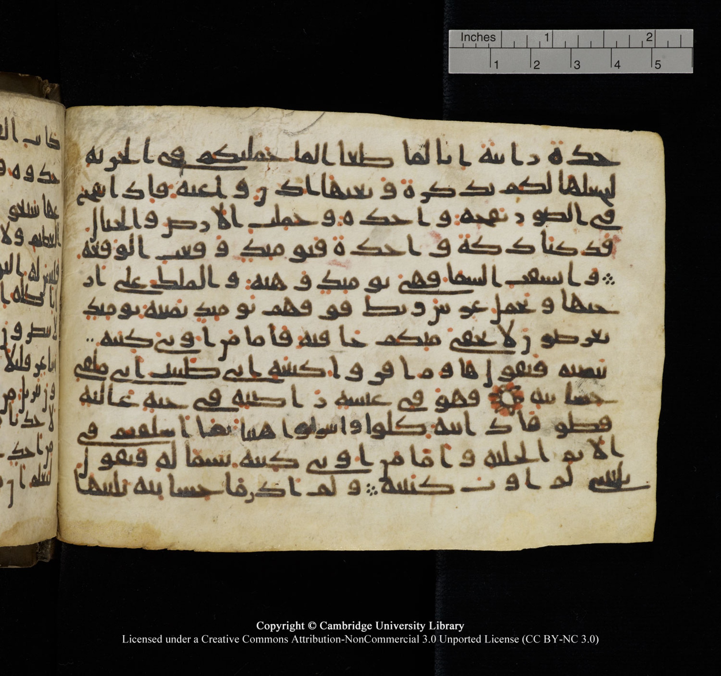 Cambridge University Library, MS Add.1150, in Unidentified script, showing Surah 69:21 from 9th or 10th Century AD found in Sinai Peninsula, currently housed at Cambridge University Library, Cambridge, UK