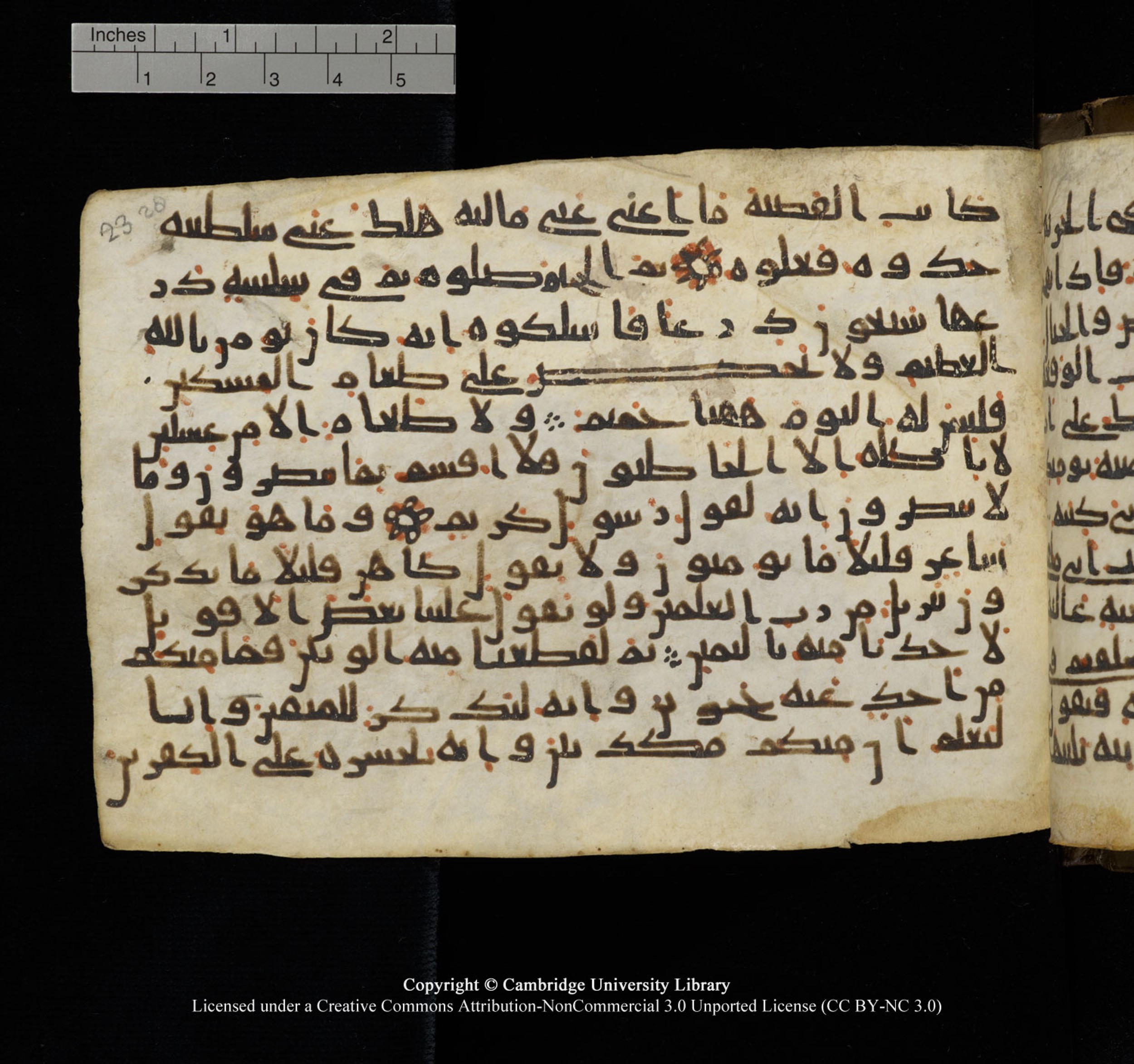 Cambridge University Library, MS Add.1150, in Unidentified script, showing Surah 69:39 from 9th or 10th Century AD found in Sinai Peninsula, currently housed at Cambridge University Library, Cambridge, UK