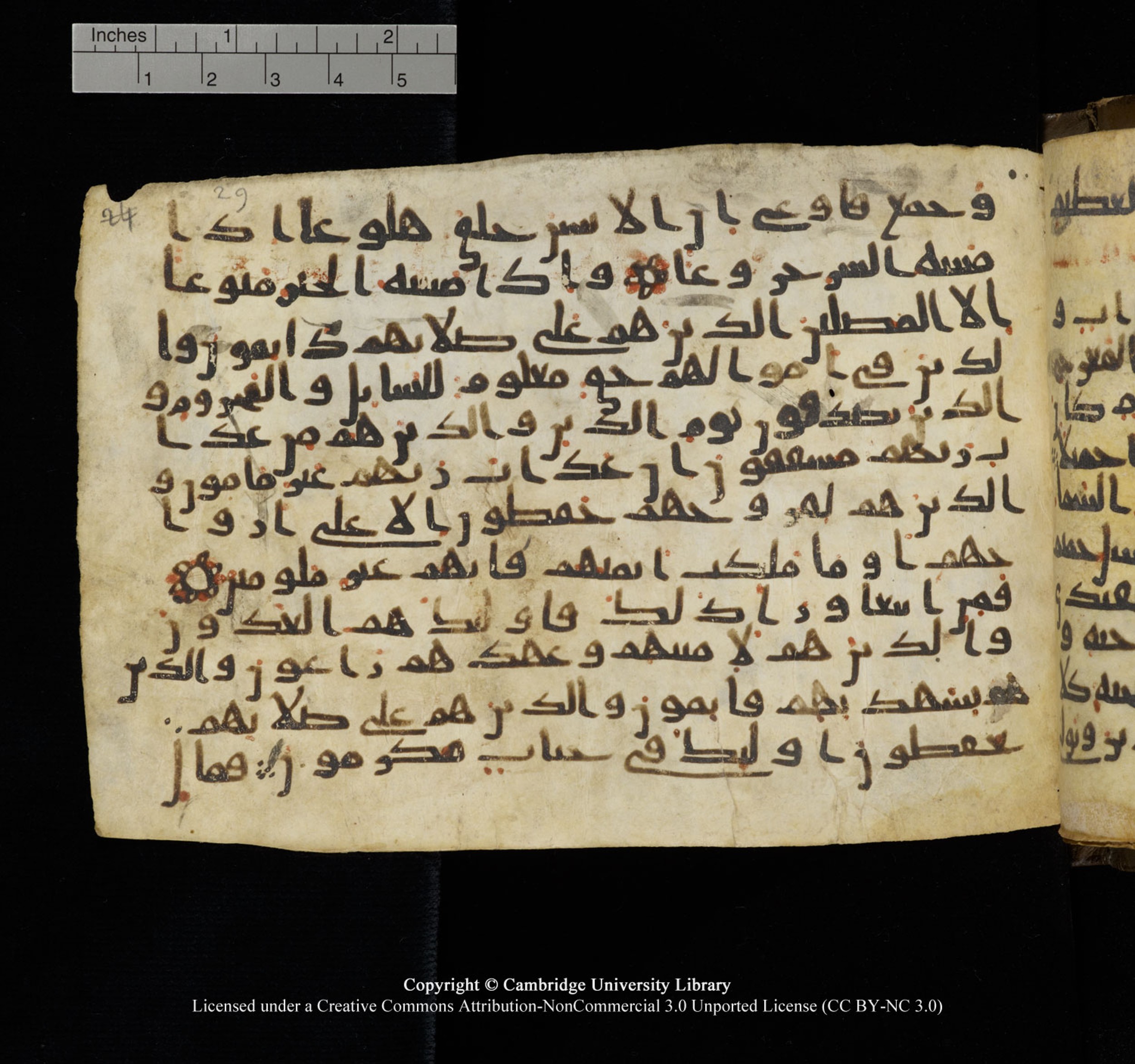 Cambridge University Library, MS Add.1150, in Unidentified script, showing Surah 70:21 from 9th or 10th Century AD found in Sinai Peninsula, currently housed at Cambridge University Library, Cambridge, UK