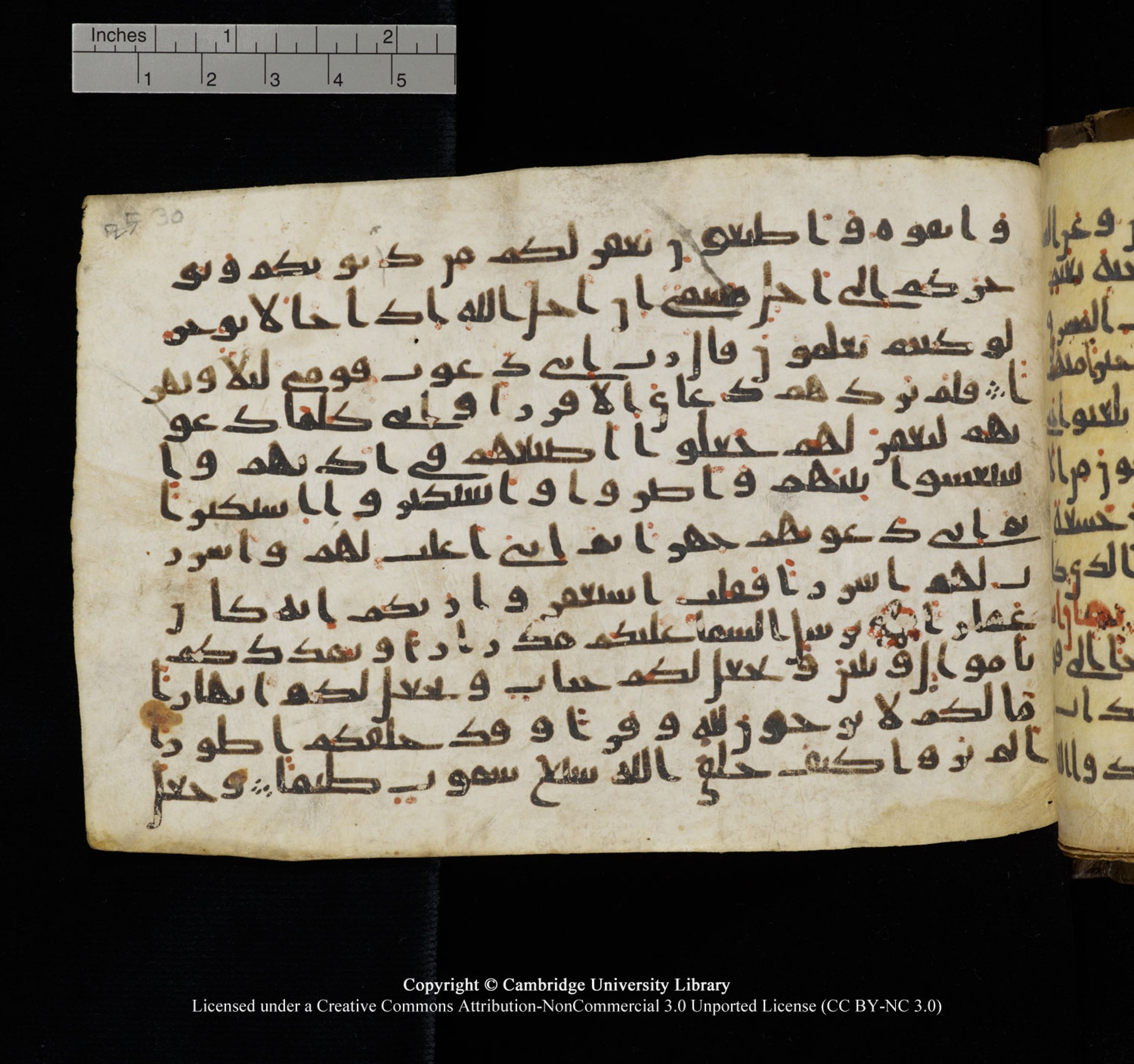 Cambridge University Library, MS Add.1150, in Unidentified script, showing Surah 71:13 from 9th or 10th Century AD found in Sinai Peninsula, currently housed at Cambridge University Library, Cambridge, UK