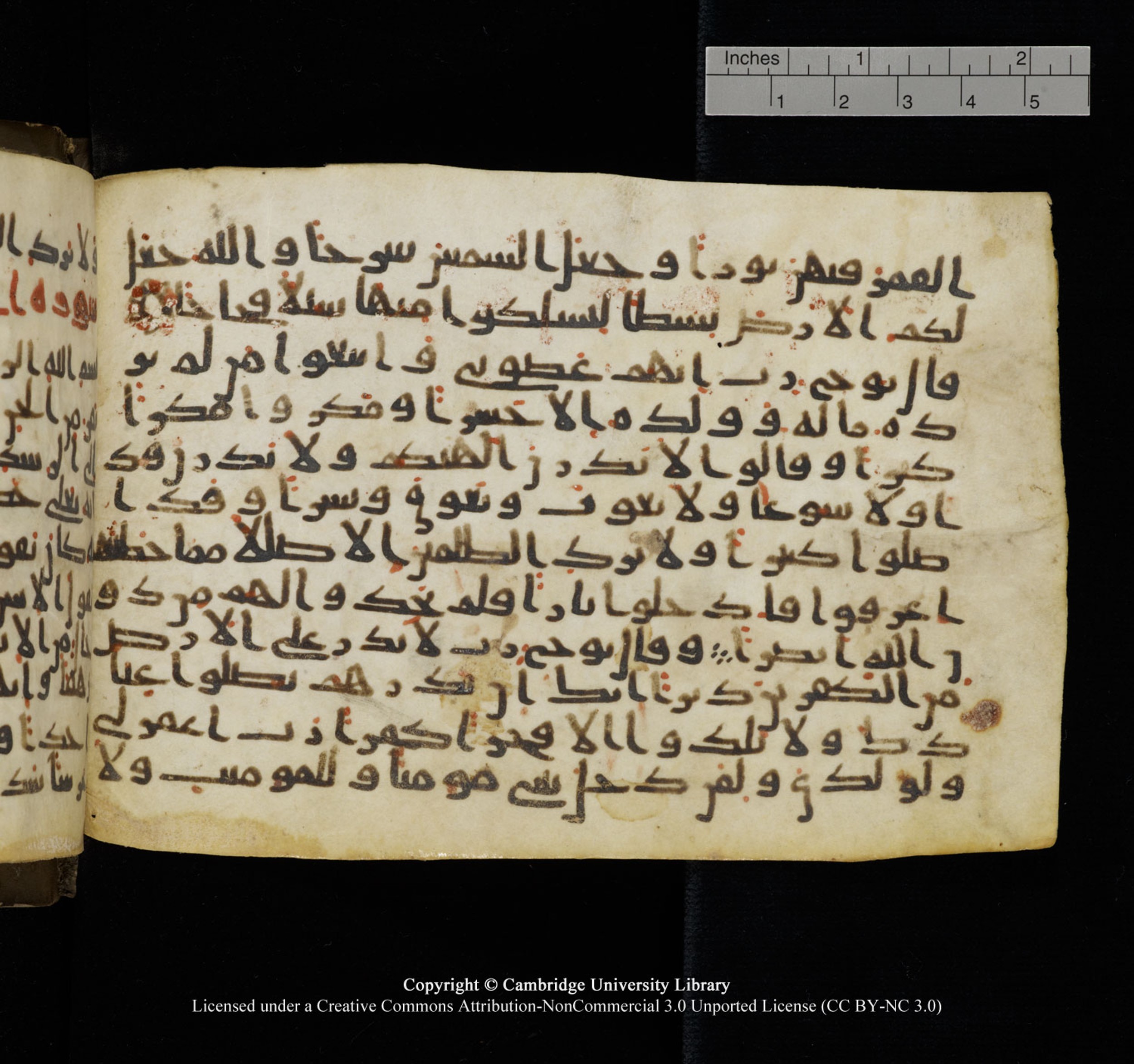 Cambridge University Library, MS Add.1150, in Unidentified script, showing Surah 71:22 from 9th or 10th Century AD found in Sinai Peninsula, currently housed at Cambridge University Library, Cambridge, UK
