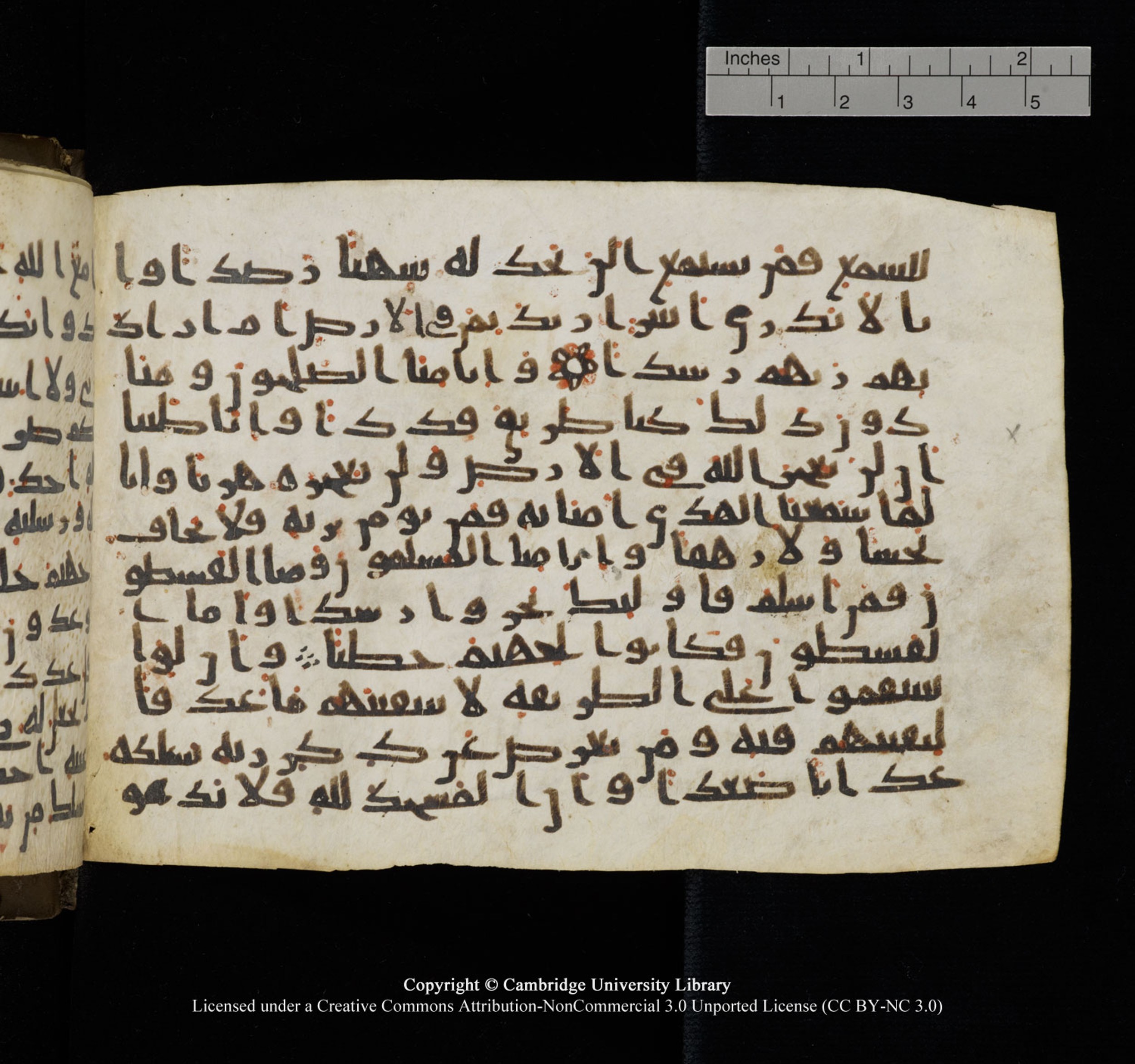 Cambridge University Library, MS Add.1150, in Unidentified script, showing Surah 72:13 from 9th or 10th Century AD found in Sinai Peninsula, currently housed at Cambridge University Library, Cambridge, UK
