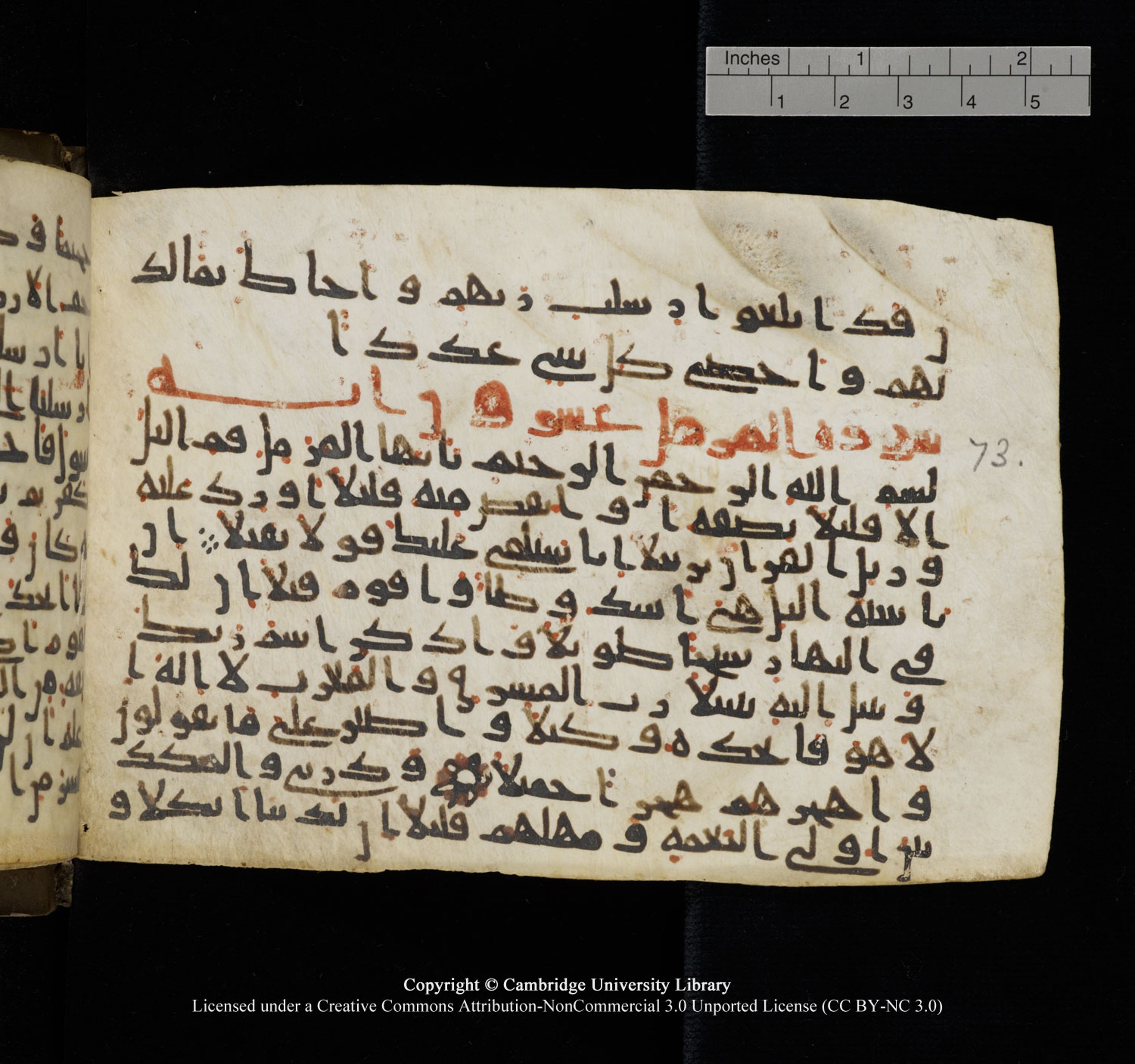 Cambridge University Library, MS Add.1150, in Unidentified script, showing Surah 73:2 from 9th or 10th Century AD found in Sinai Peninsula, currently housed at Cambridge University Library, Cambridge, UK