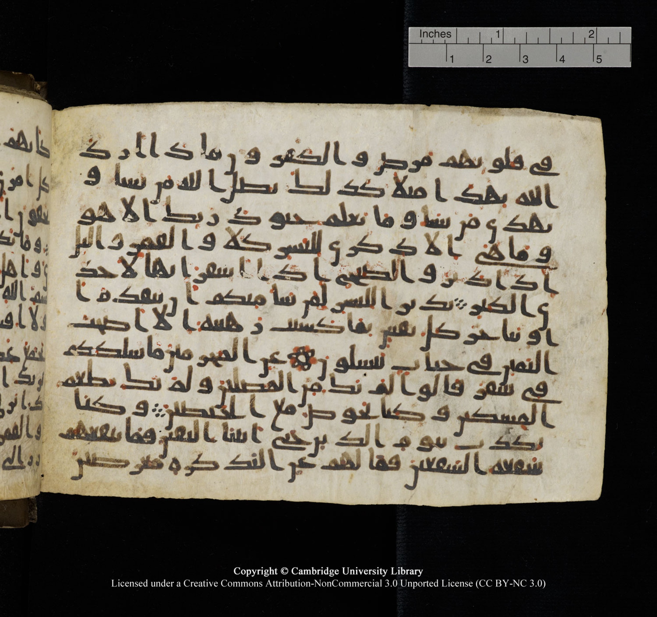 Cambridge University Library, MS Add.1150, in Unidentified script, showing Surah 74:39 from 9th or 10th Century AD found in Sinai Peninsula, currently housed at Cambridge University Library, Cambridge, UK