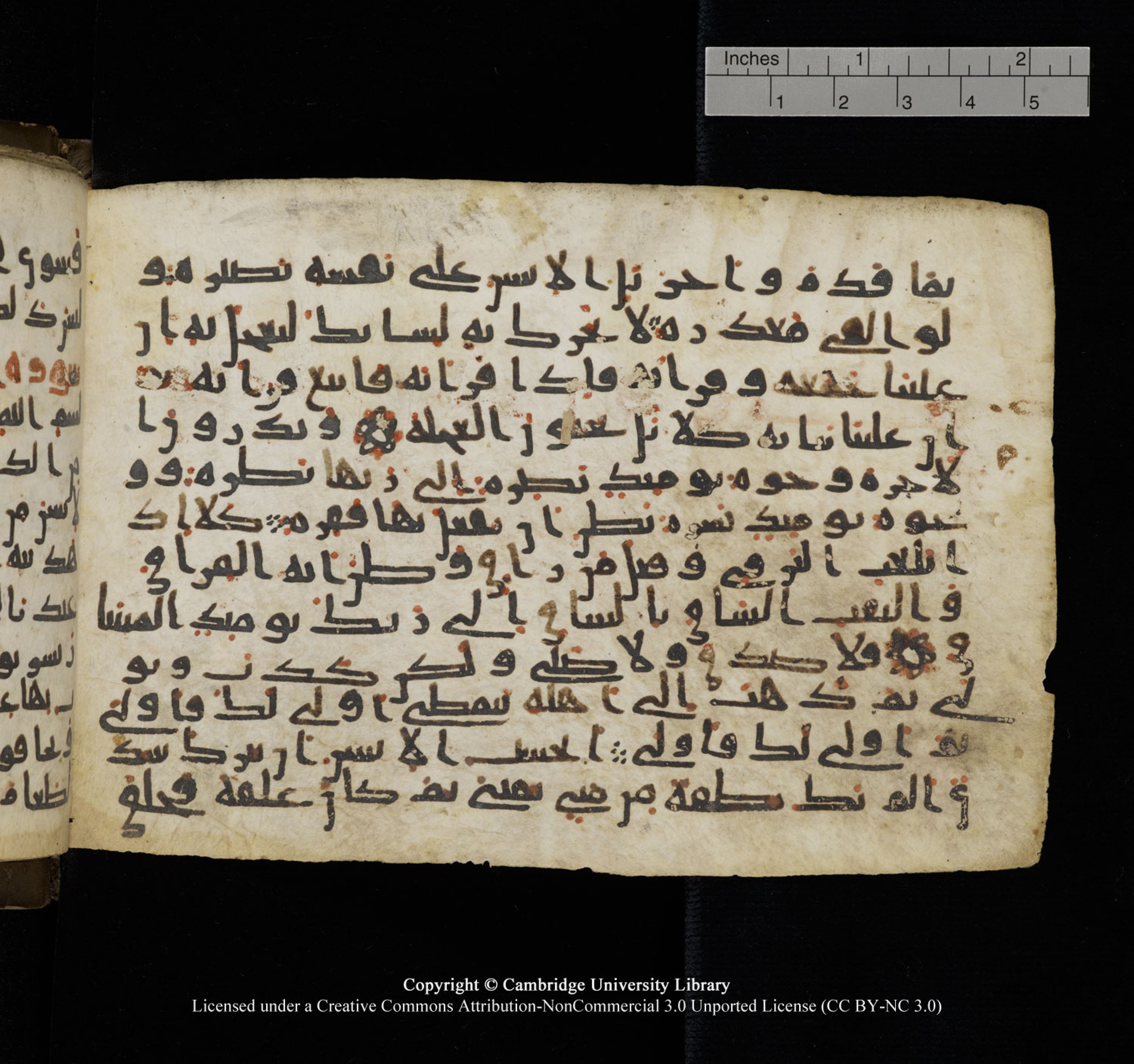 Cambridge University Library, MS Add.1150, in Unidentified script, showing Surah 75:21 from 9th or 10th Century AD found in Sinai Peninsula, currently housed at Cambridge University Library, Cambridge, UK