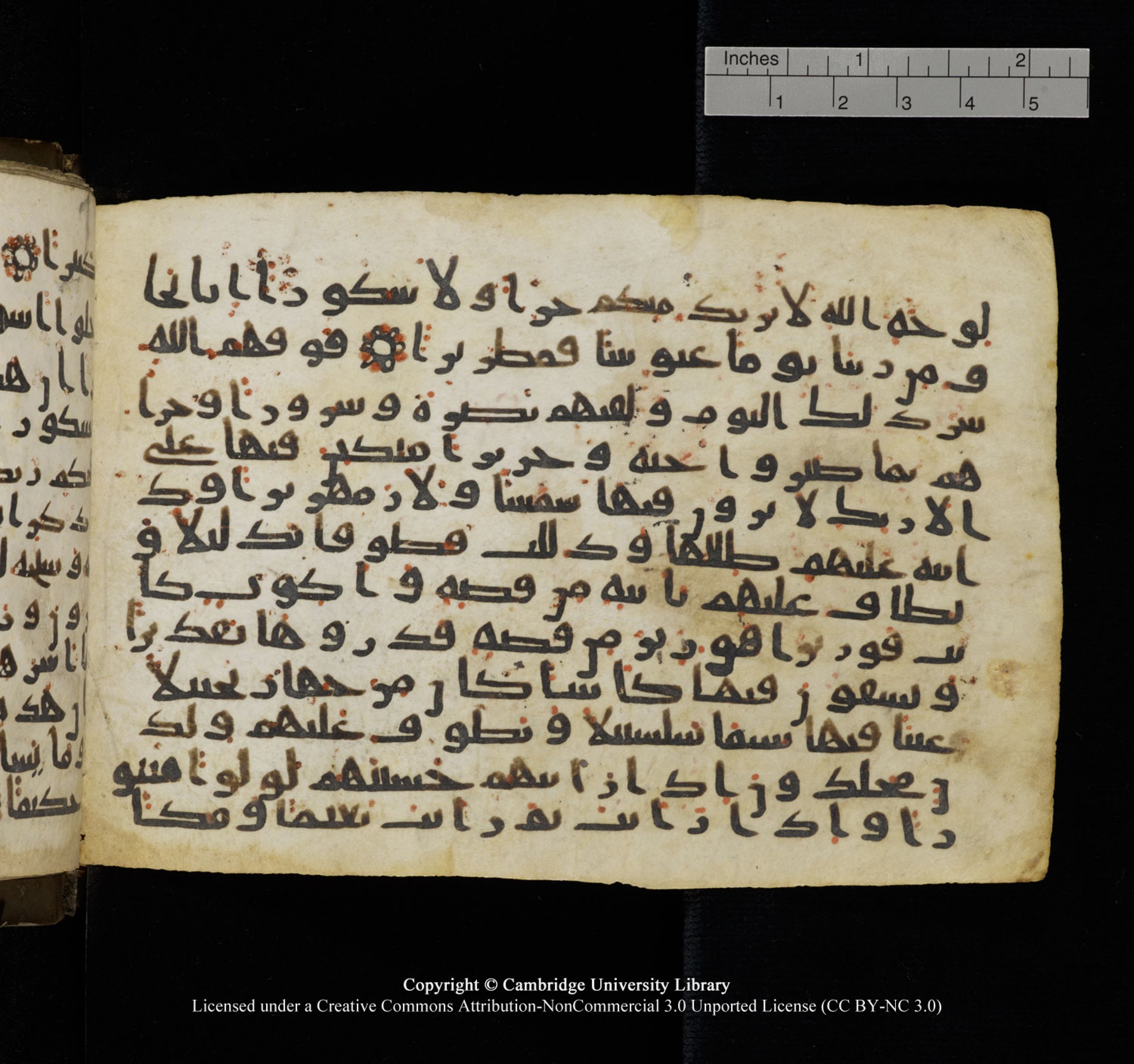 Cambridge University Library, MS Add.1150, in Unidentified script, showing Surah 76:13 from 9th or 10th Century AD found in Sinai Peninsula, currently housed at Cambridge University Library, Cambridge, UK