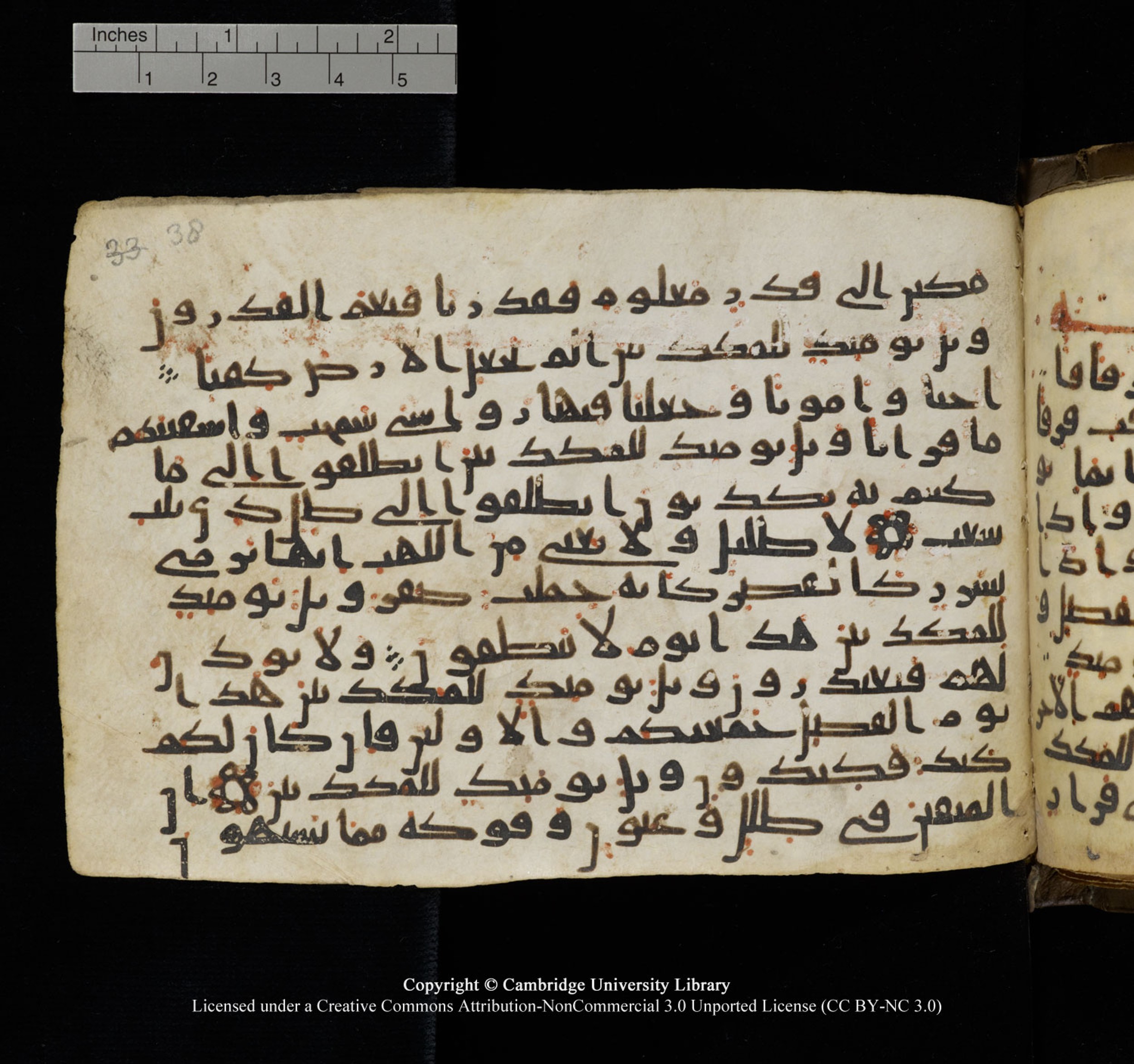 Cambridge University Library, MS Add.1150 (Scan 2), in Unidentified script, showing Surah 77:21 from 9th or 10th Century AD found in Sinai Peninsula, currently housed at Cambridge University Library, Cambridge, UK