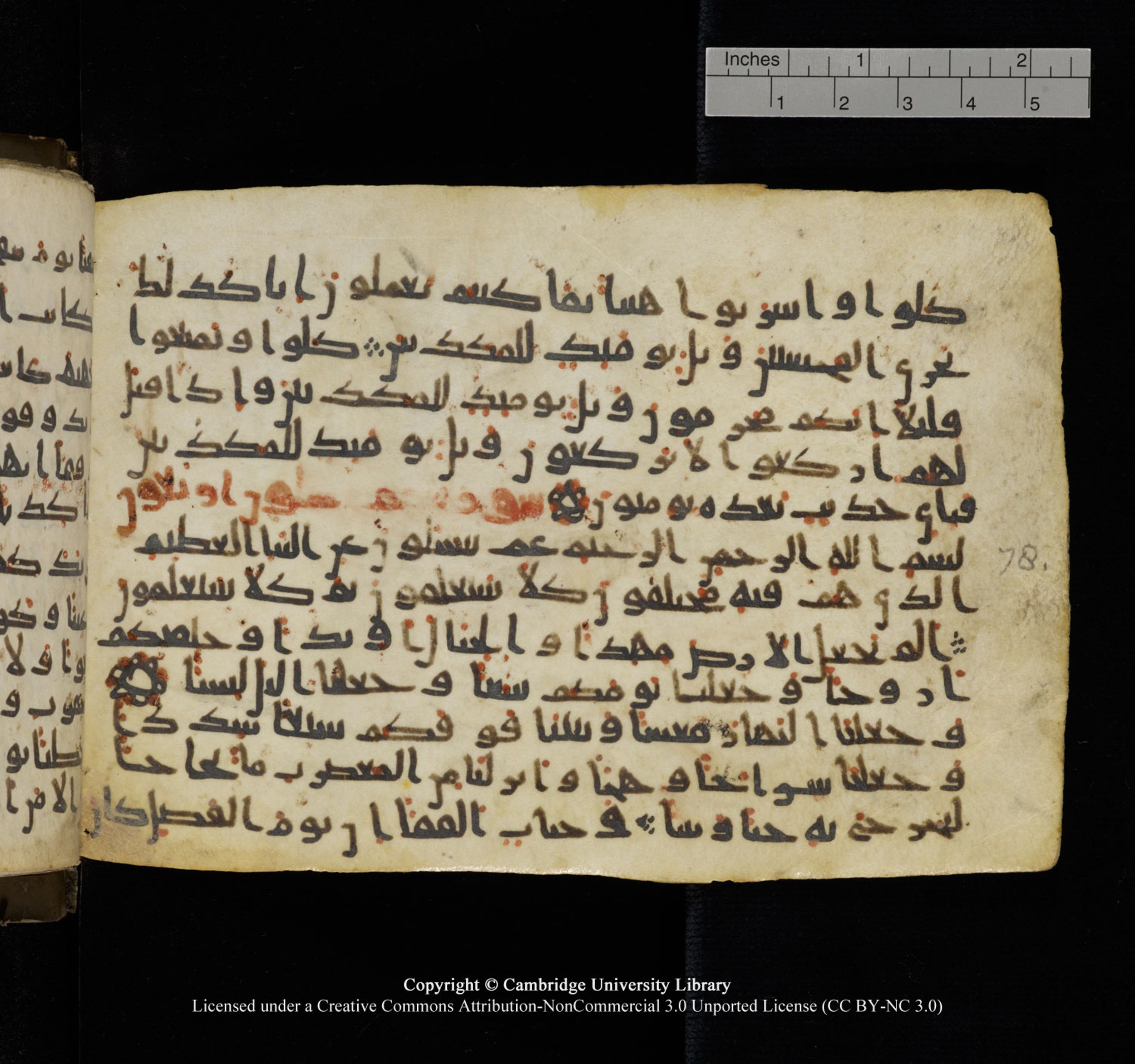 Cambridge University Library, MS Add.1150, in Unidentified script, showing Surah 78:13 from 9th or 10th Century AD found in Sinai Peninsula, currently housed at Cambridge University Library, Cambridge, UK