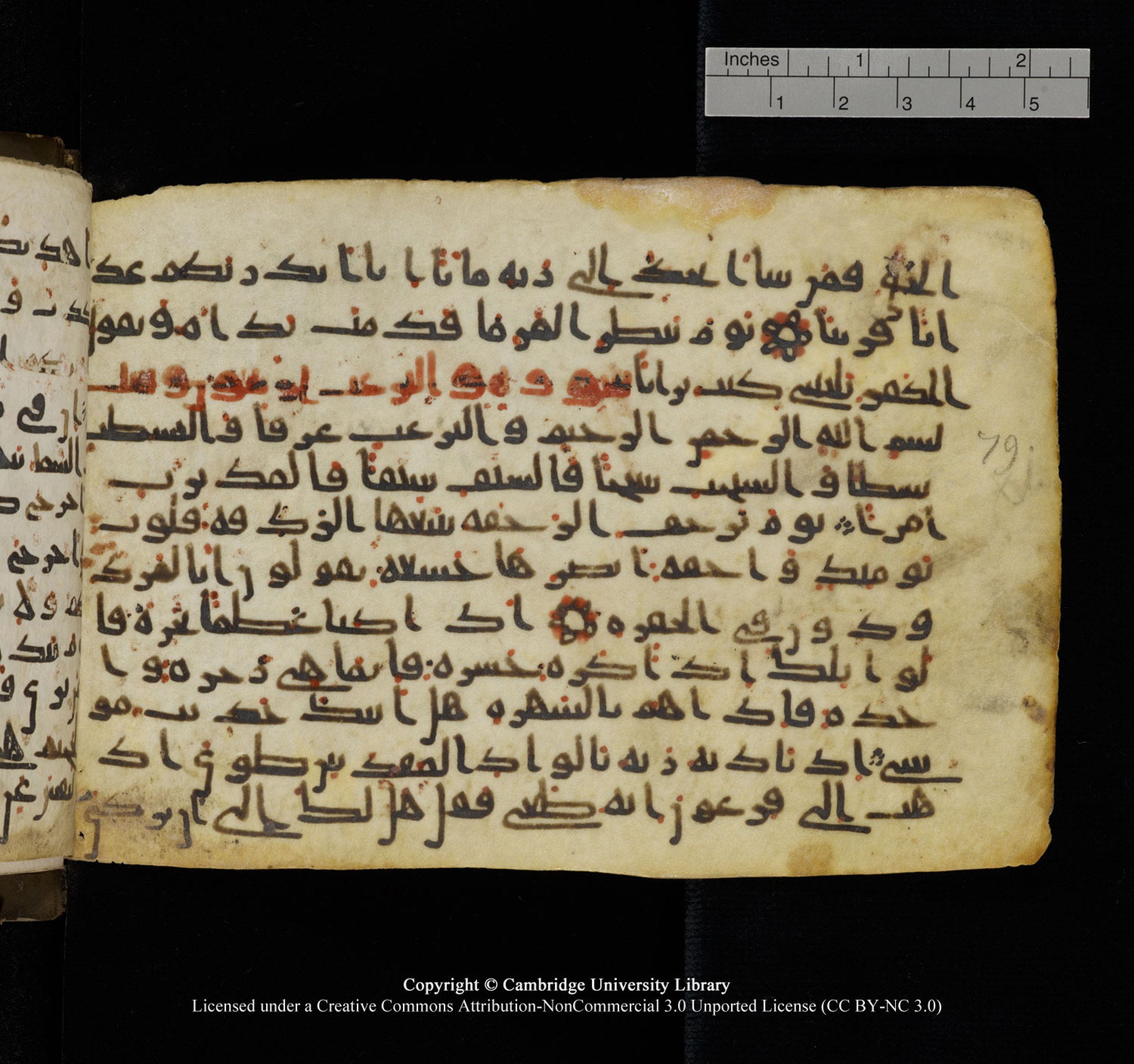 Cambridge University Library, MS Add.1150, in Unidentified script, showing Surah 79:13 from 9th or 10th Century AD found in Sinai Peninsula, currently housed at Cambridge University Library, Cambridge, UK