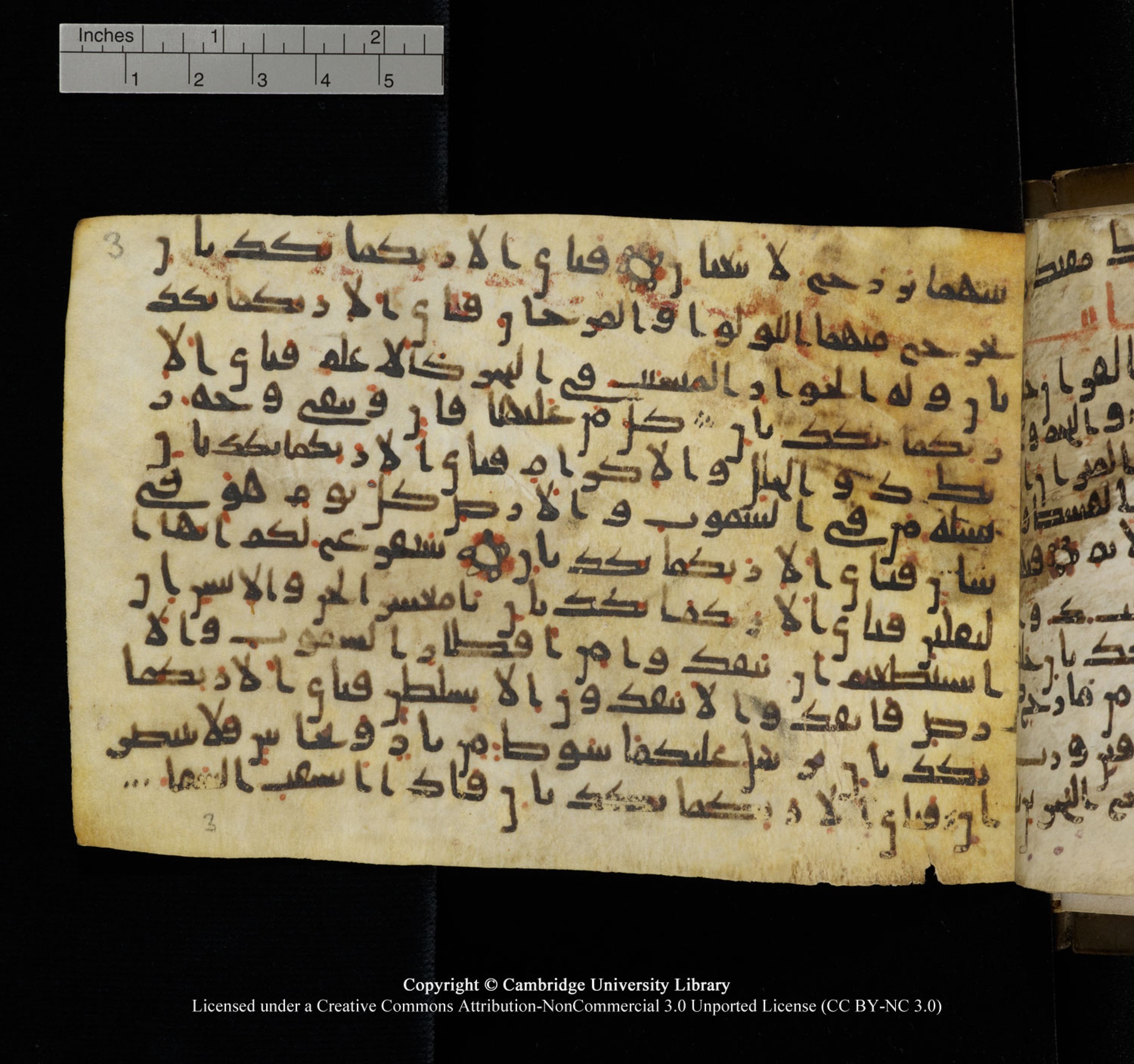 Cambridge University Library, MS Add.1150, in Unidentified script, showing Surah 55:21 from 9th or 10th Century AD found in Sinai Peninsula, currently housed at Cambridge University Library, Cambridge, UK