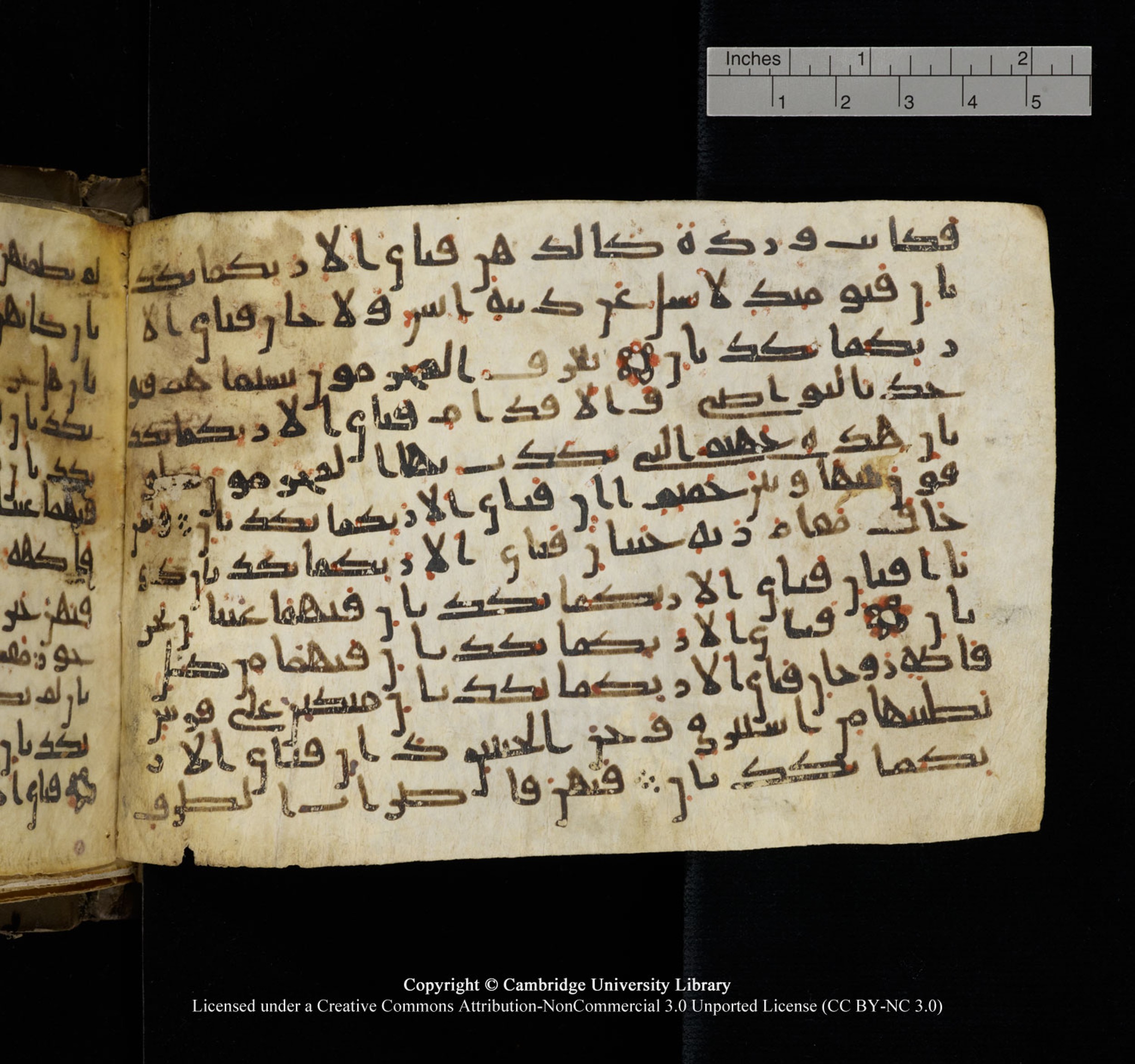 Cambridge University Library, MS Add.1150, in Unidentified script, showing Surah 55:39 from 9th or 10th Century AD found in Sinai Peninsula, currently housed at Cambridge University Library, Cambridge, UK