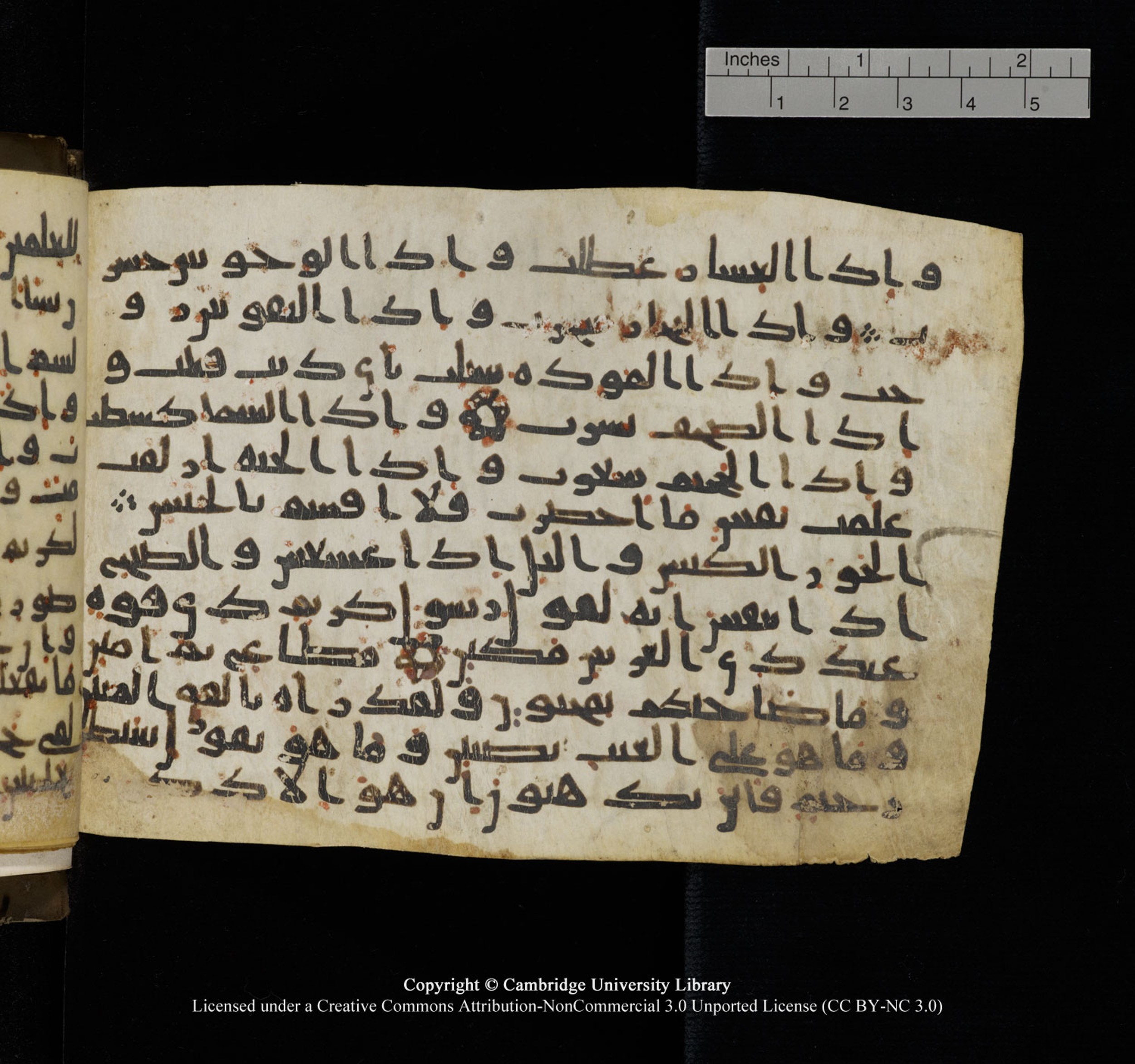 Cambridge University Library, MS Add.1150, in Unidentified script, showing Surah 81:4 from 9th or 10th Century AD found in Sinai Peninsula, currently housed at Cambridge University Library, Cambridge, UK