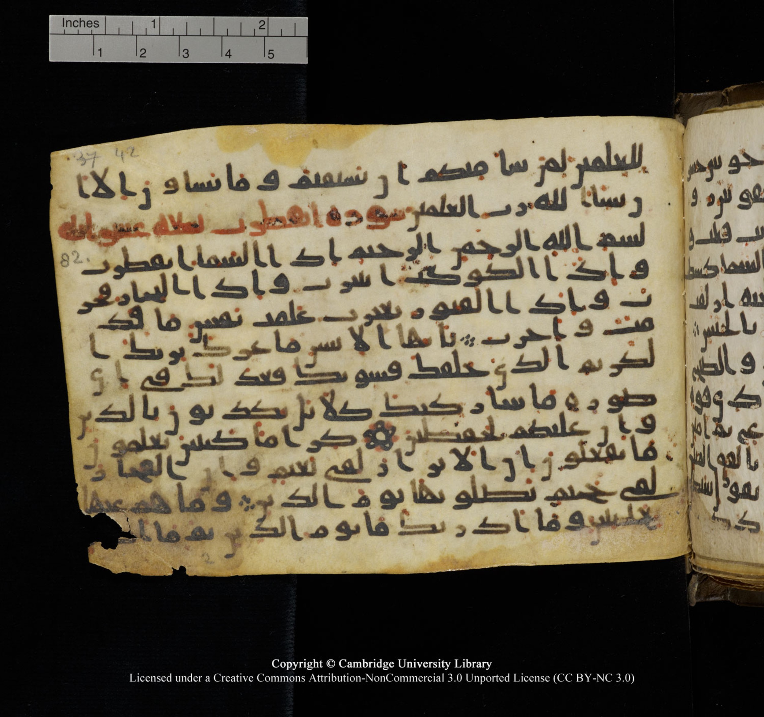 Cambridge University Library, MS Add.1150, in Unidentified script, showing Surah 82:13 from 9th or 10th Century AD found in Sinai Peninsula, currently housed at Cambridge University Library, Cambridge, UK