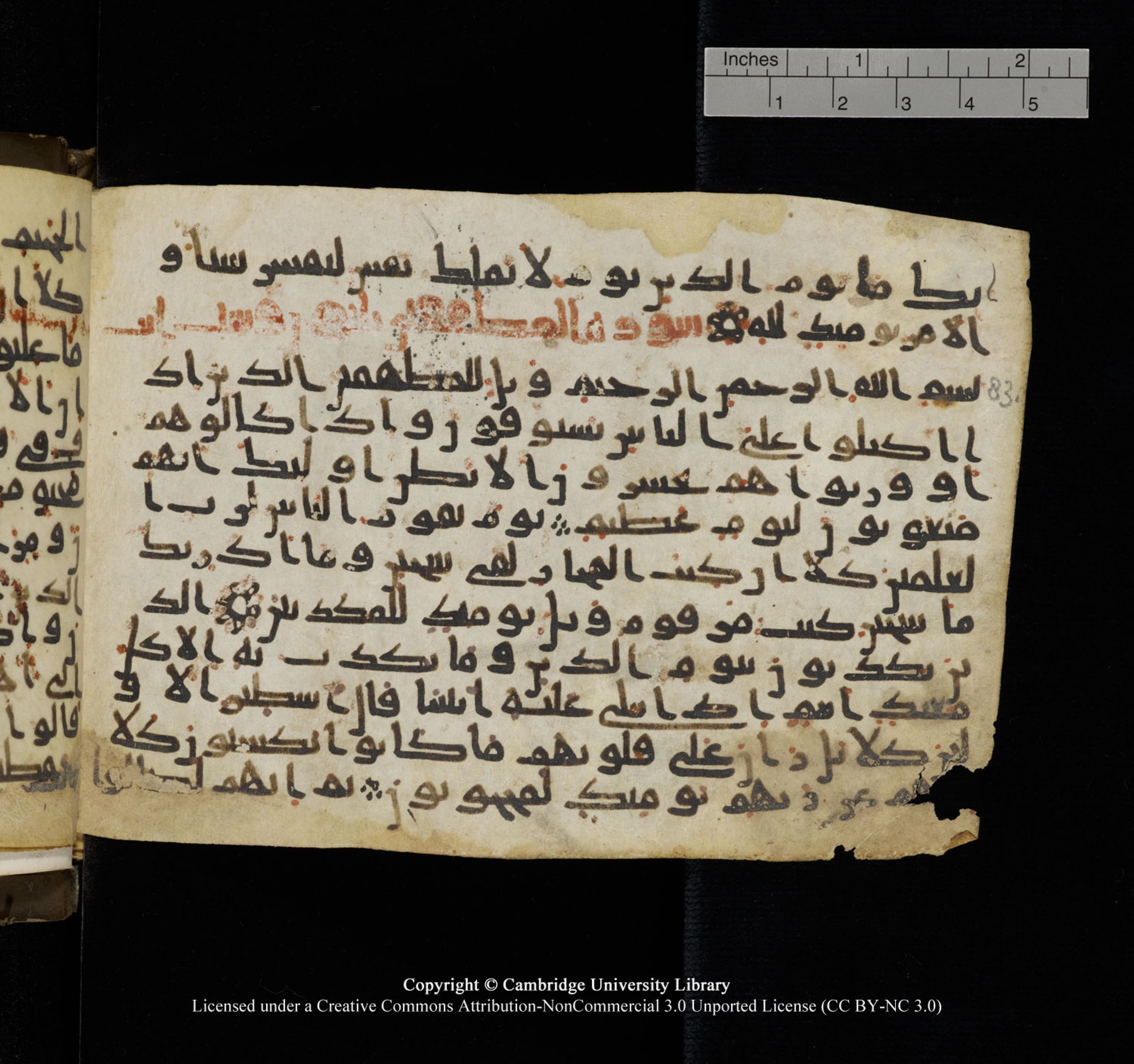 Cambridge University Library, MS Add.1150, in Unidentified script, showing Surah 83:13 from 9th or 10th Century AD found in Sinai Peninsula, currently housed at Cambridge University Library, Cambridge, UK