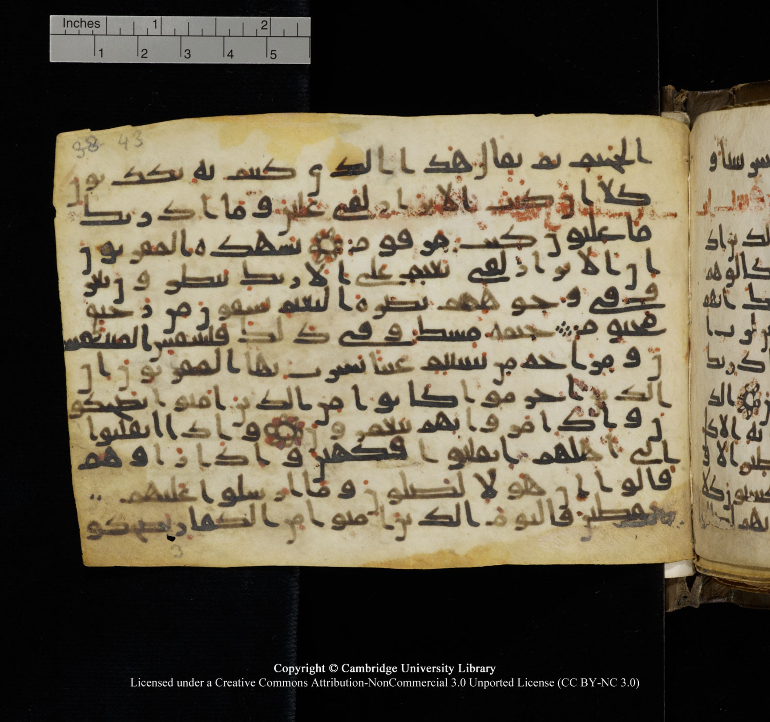 Cambridge University Library, MS Add.1150, in Unidentified script, showing Surah 83:21 from 9th or 10th Century AD found in Sinai Peninsula, currently housed at Cambridge University Library, Cambridge, UK