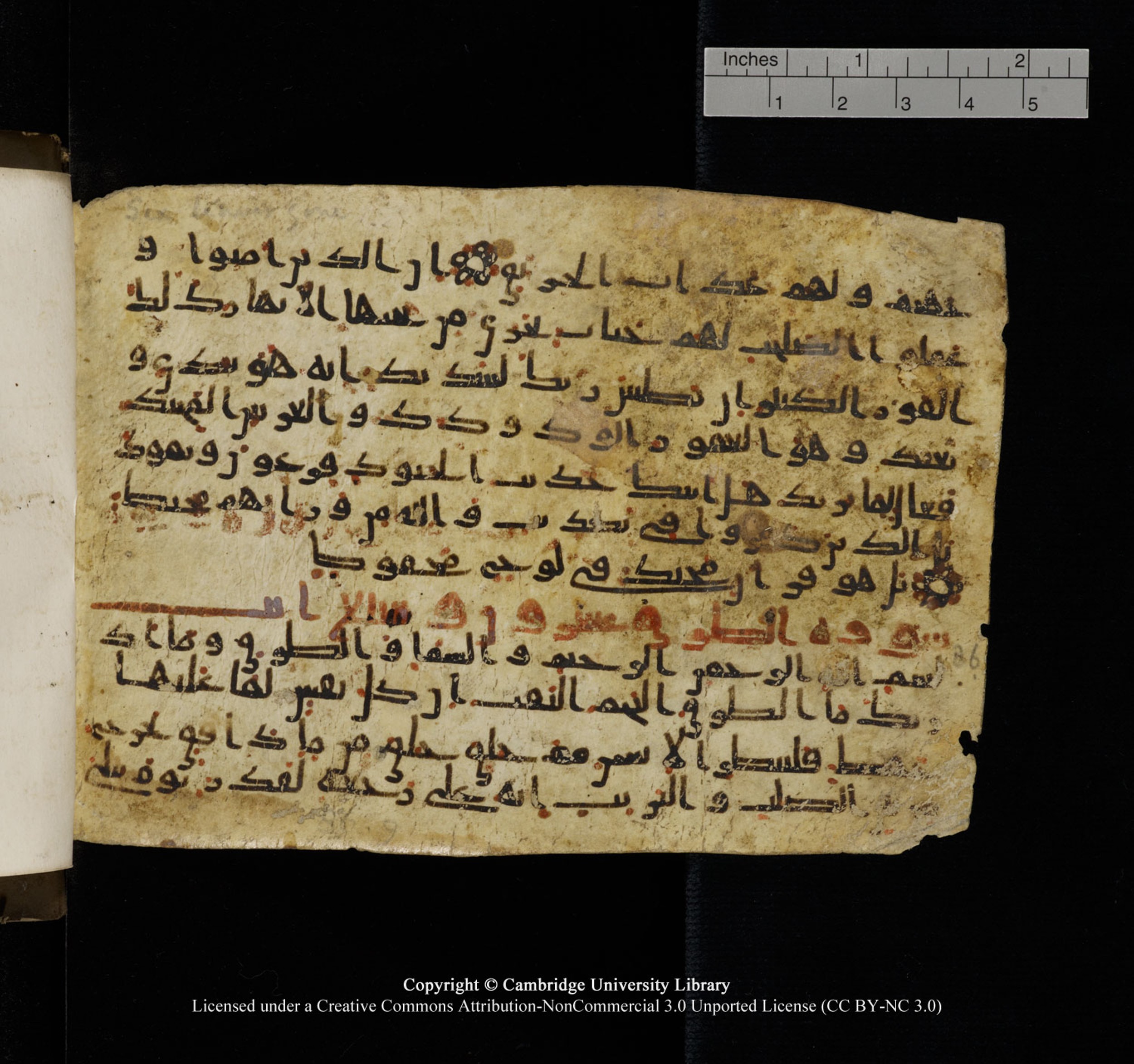 Cambridge University Library, MS Add.1150, in Unidentified script, showing Surah 85:13 from 9th or 10th Century AD found in Sinai Peninsula, currently housed at Cambridge University Library, Cambridge, UK