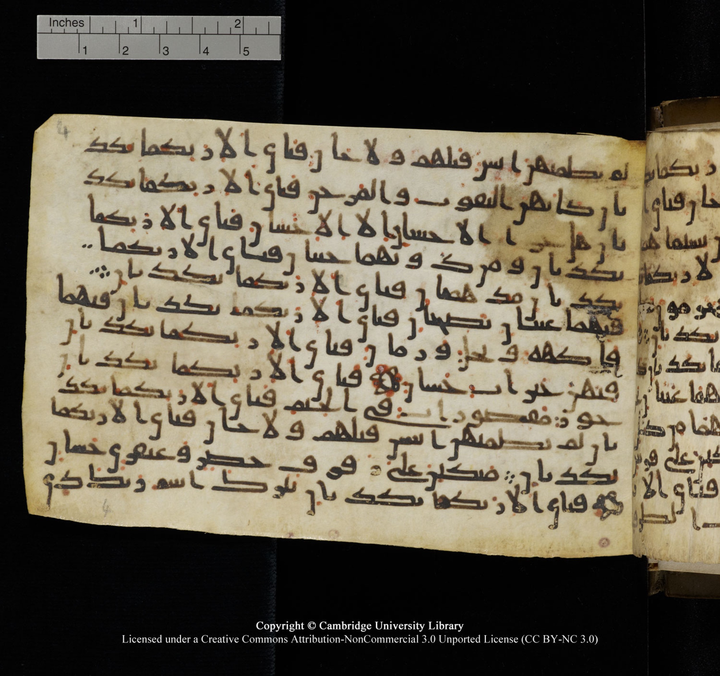Cambridge University Library, MS Add.1150, in Unidentified script, showing Surah 55:76 from 9th or 10th Century AD found in Sinai Peninsula, currently housed at Cambridge University Library, Cambridge, UK