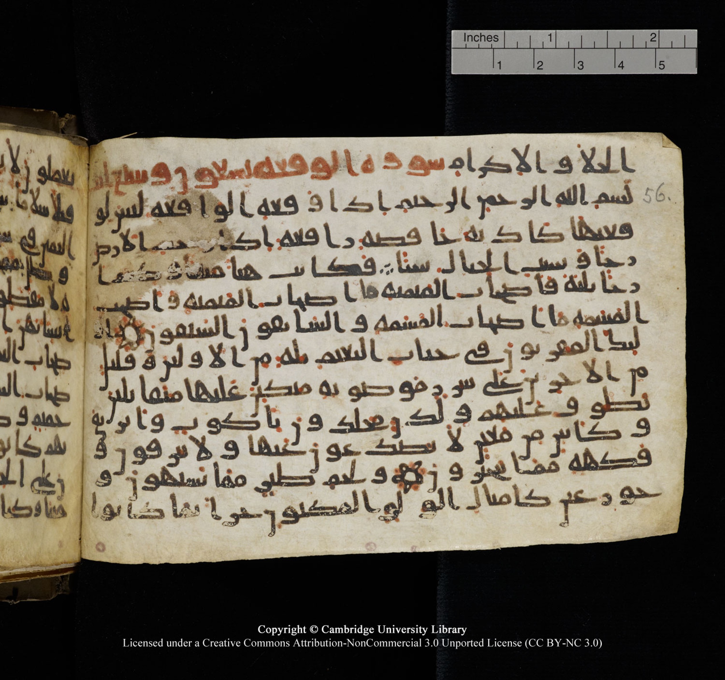 Cambridge University Library, MS Add.1150, in Unidentified script, showing Surah 56:21 from 9th or 10th Century AD found in Sinai Peninsula, currently housed at Cambridge University Library, Cambridge, UK