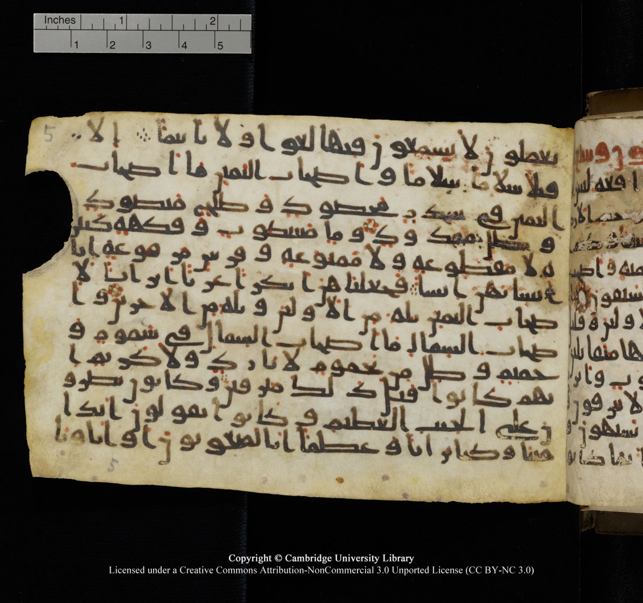 Cambridge University Library, MS Add.1150, in Unidentified script, showing Surah 56:39 from 9th or 10th Century AD found in Sinai Peninsula, currently housed at Cambridge University Library, Cambridge, UK