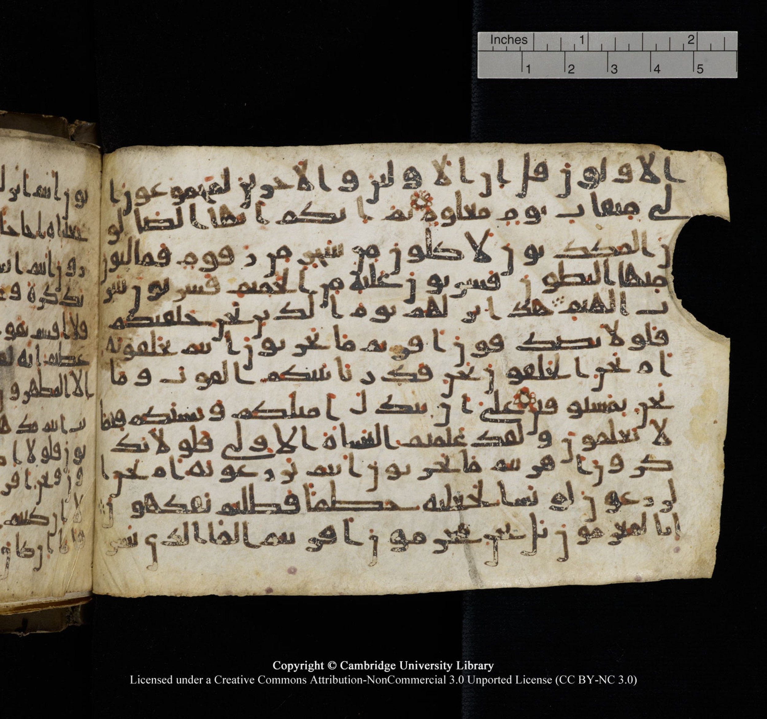 Cambridge University Library, MS Add.1150, in Unidentified script, showing Surah 56:52 from 9th or 10th Century AD found in Sinai Peninsula, currently housed at Cambridge University Library, Cambridge, UK
