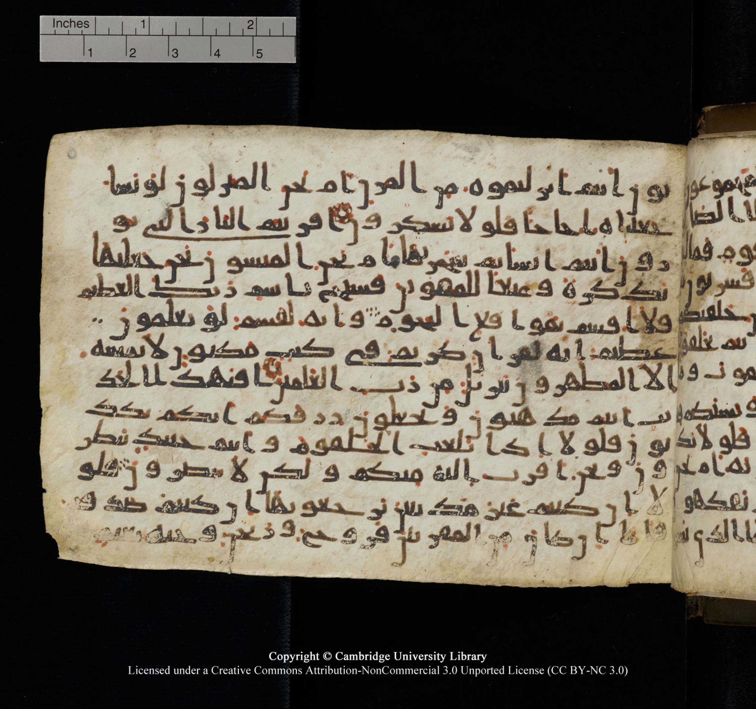 Cambridge University Library, MS Add.1150, in Unidentified script, showing Surah 56:76 from 9th or 10th Century AD found in Sinai Peninsula, currently housed at Cambridge University Library, Cambridge, UK