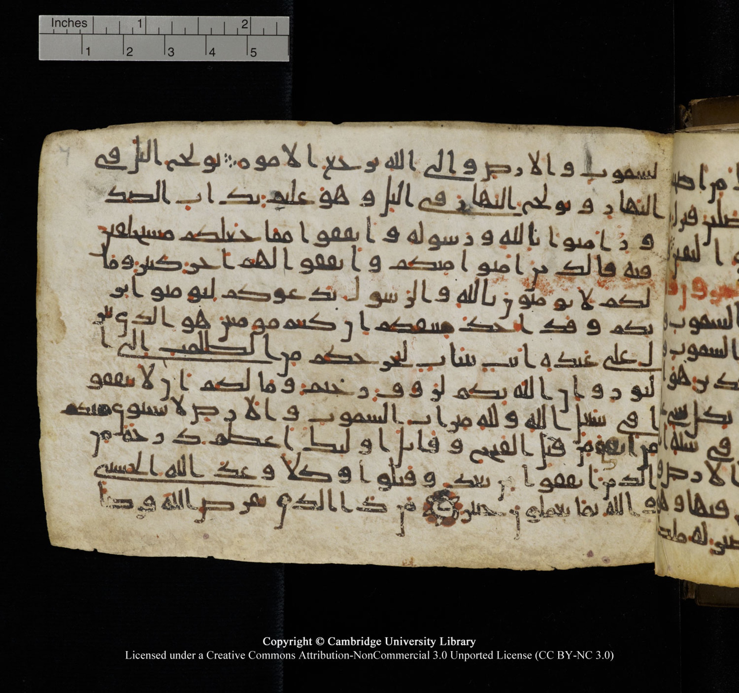 Cambridge University Library, MS Add.1150, in Unidentified script, showing Surah 57:7 from 9th or 10th Century AD found in Sinai Peninsula, currently housed at Cambridge University Library, Cambridge, UK