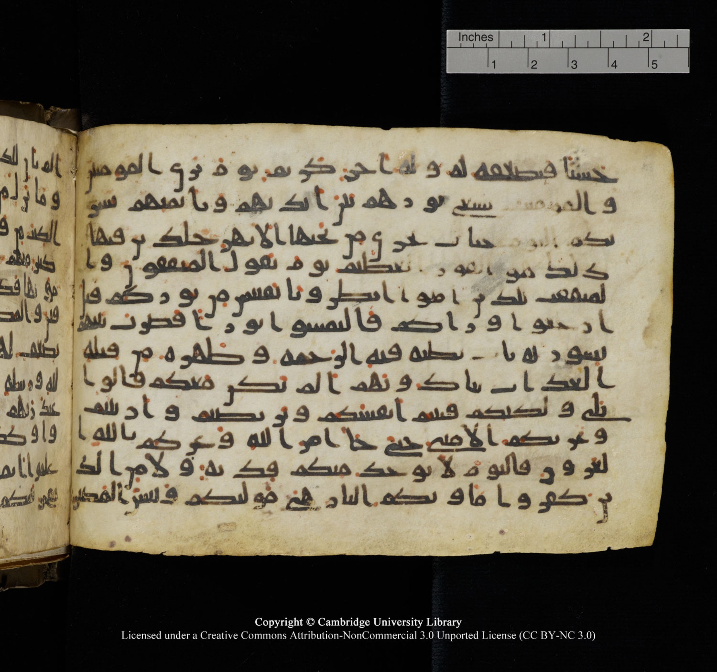 Cambridge University Library, MS Add.1150, in Unidentified script, showing Surah 57:13 from 9th or 10th Century AD found in Sinai Peninsula, currently housed at Cambridge University Library, Cambridge, UK