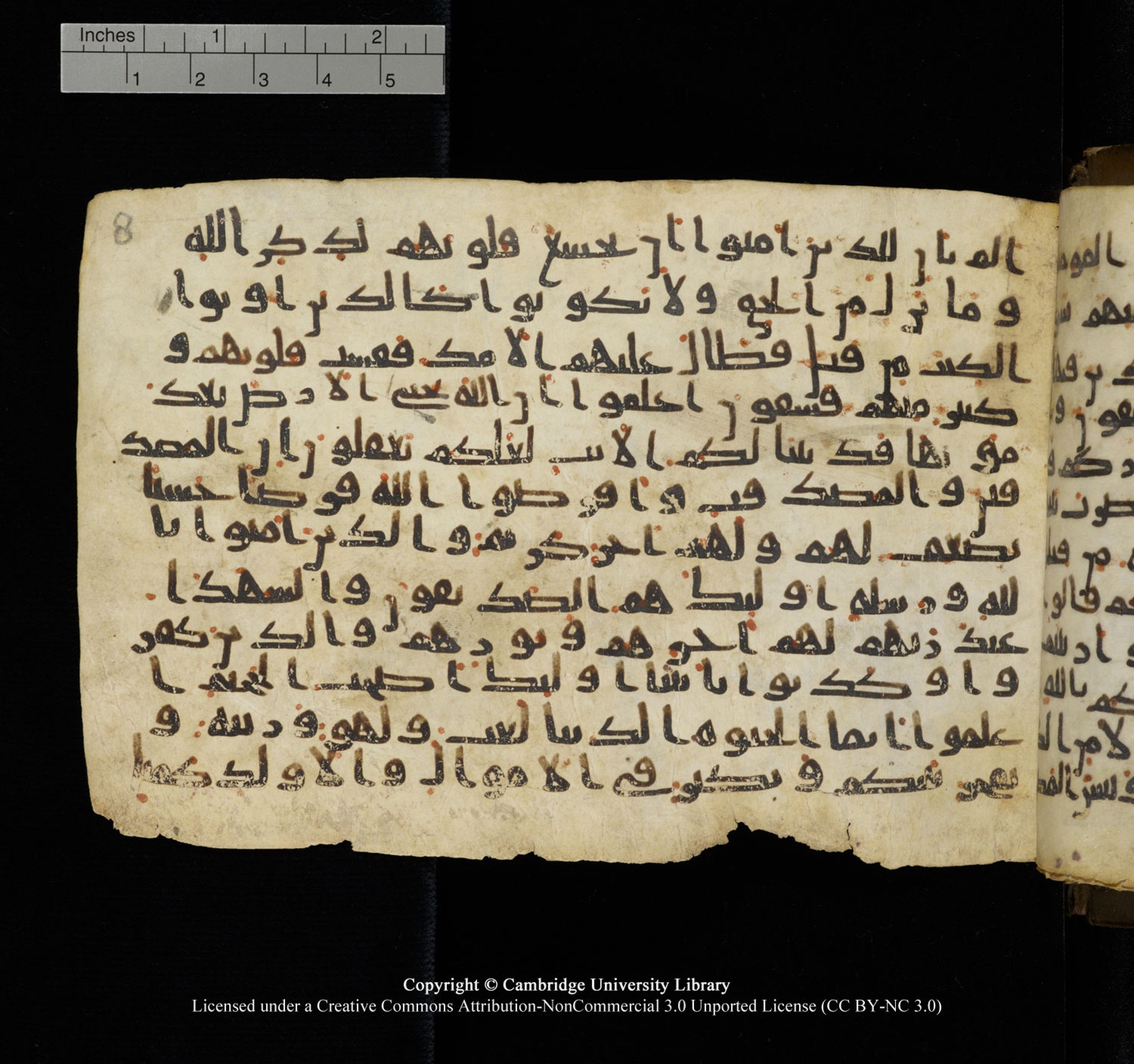 Cambridge University Library, MS Add.1150, in Unidentified script, showing Surah 57:16 from 9th or 10th Century AD found in Sinai Peninsula, currently housed at Cambridge University Library, Cambridge, UK