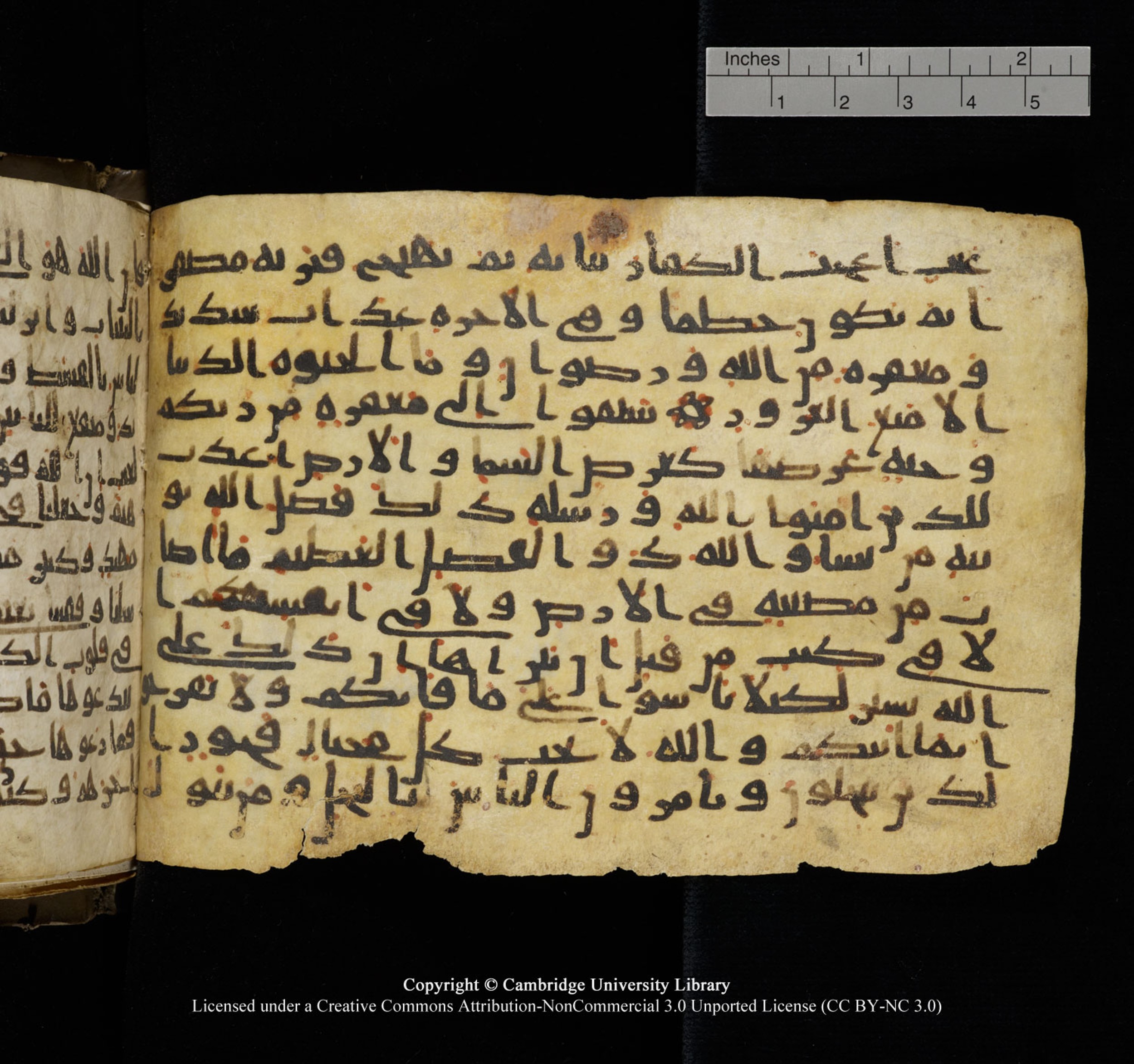 Cambridge University Library, MS Add.1150, in Unidentified script, showing Surah 57:21 from 9th or 10th Century AD found in Sinai Peninsula, currently housed at Cambridge University Library, Cambridge, UK