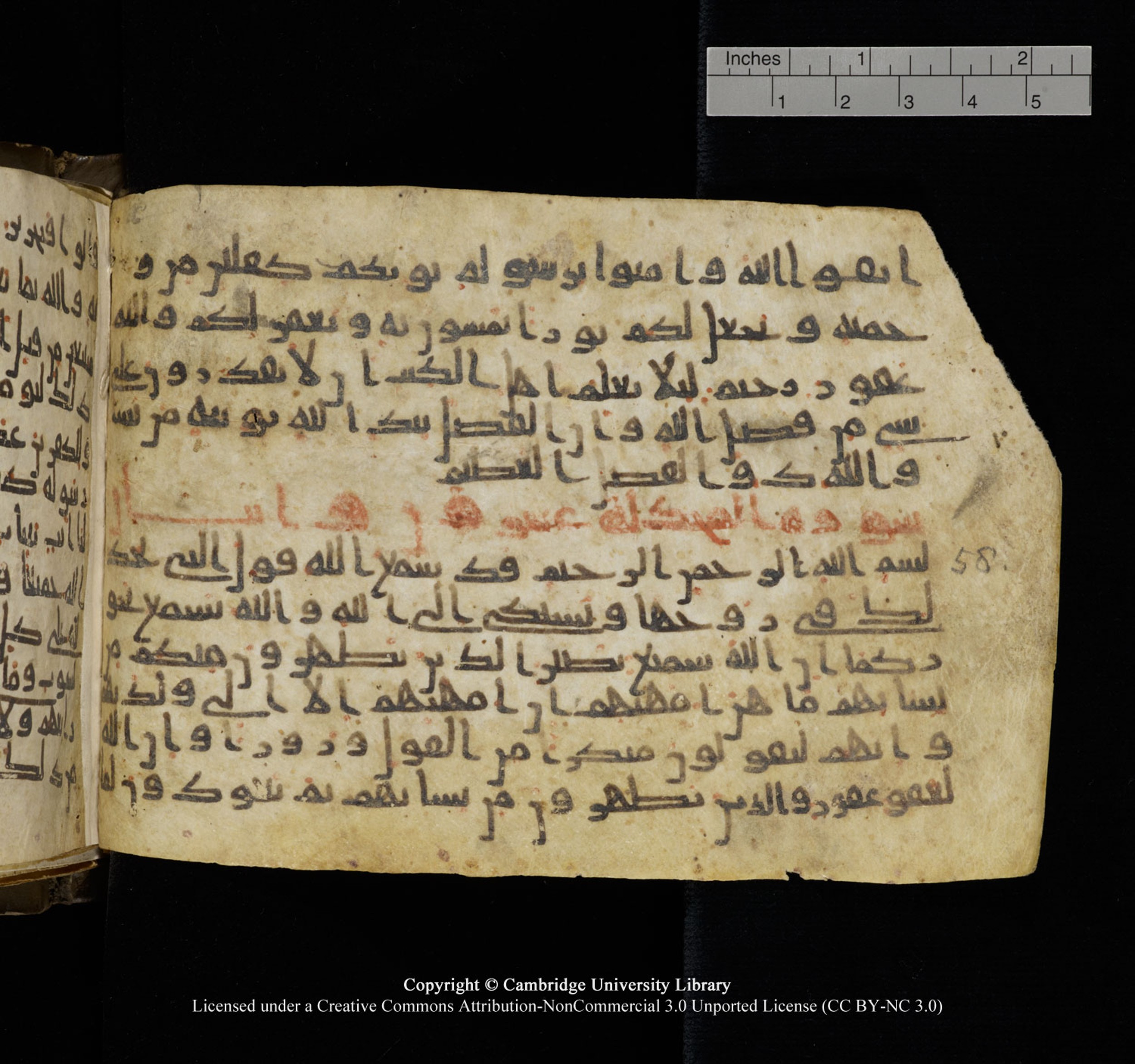 Cambridge University Library, MS Add.1150, in Unidentified script, showing Surah 58:2 from 9th or 10th Century AD found in Sinai Peninsula, currently housed at Cambridge University Library, Cambridge, UK