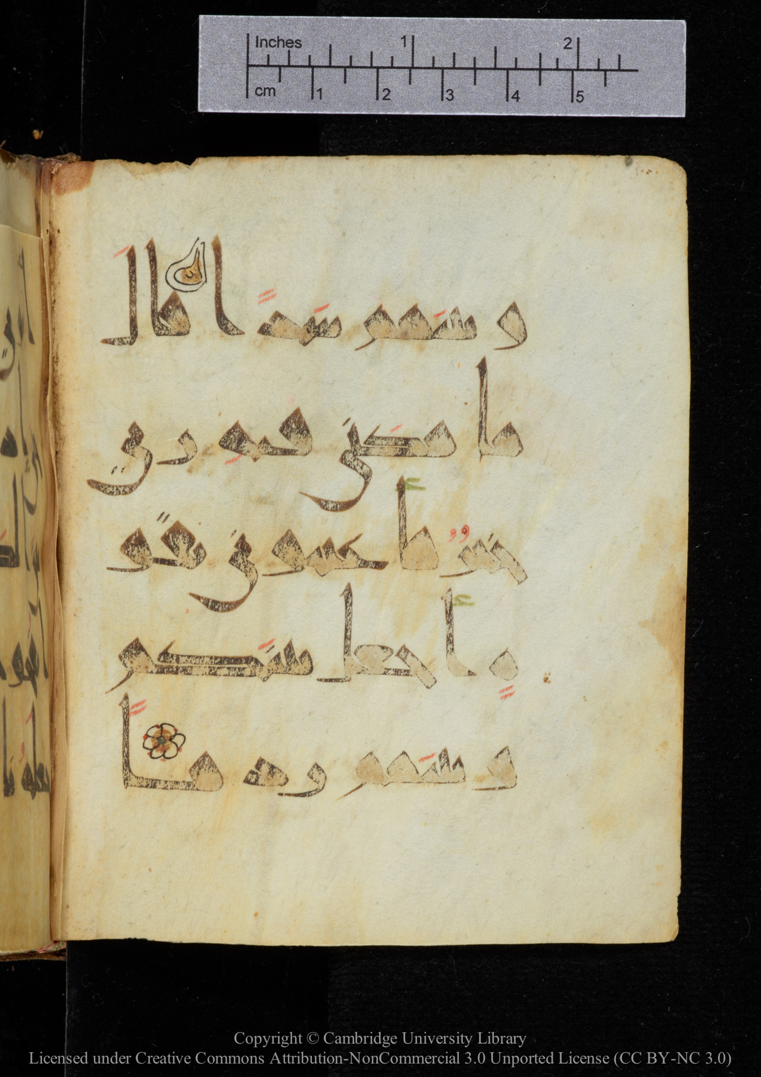 Cambridge, Cambridge University Library, MS Add.2964, in New Style I script, showing Surah 18:95 from 10th to 11th Century AD found in Unknown, currently housed at Cambridge University Library, Cambridge
