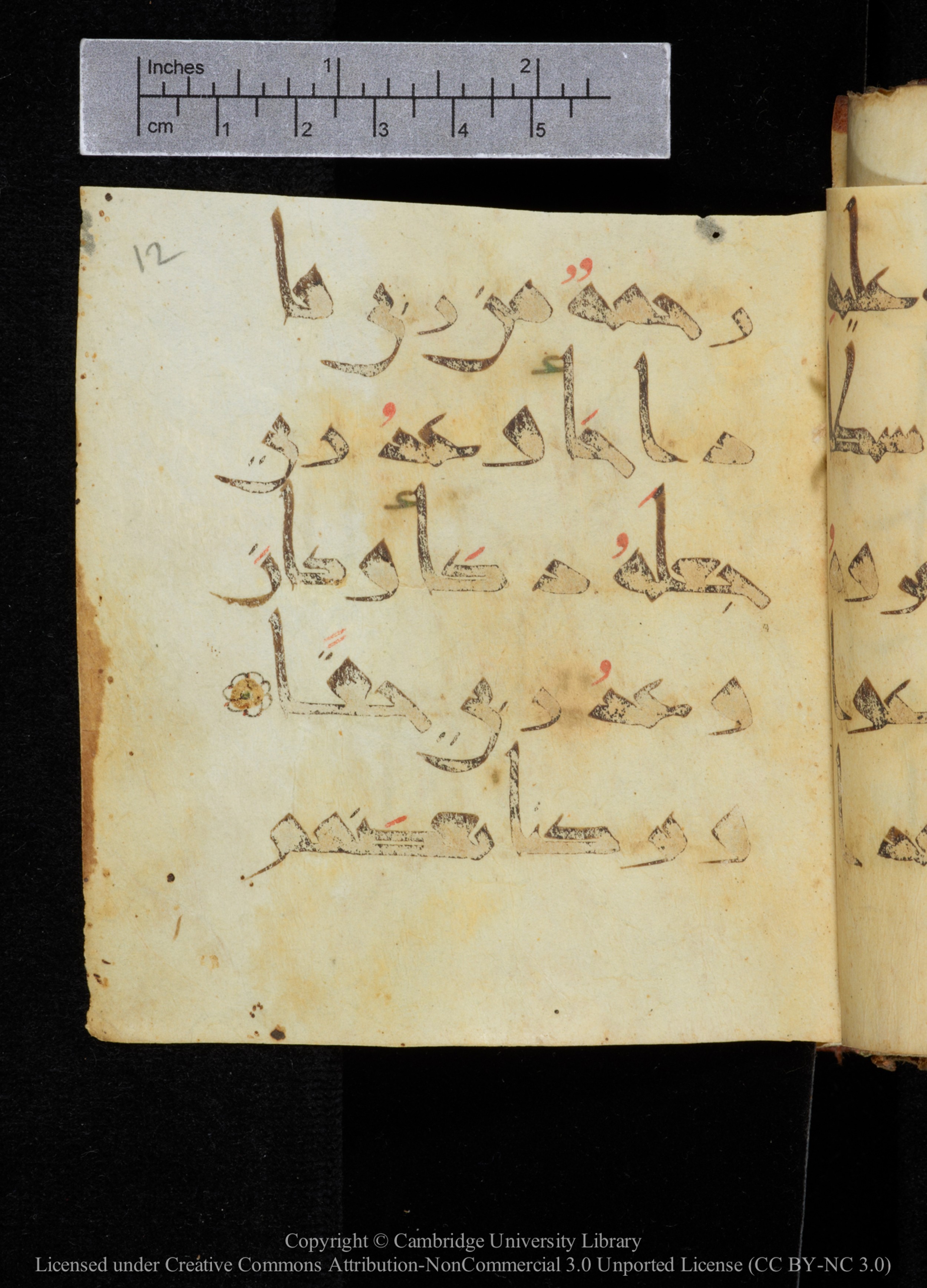 Cambridge, Cambridge University Library, MS Add.2964 (Scan 2), in New Style I script, showing Surah 18:98 from 10th to 11th Century AD found in Unknown, currently housed at Cambridge University Library, Cambridge