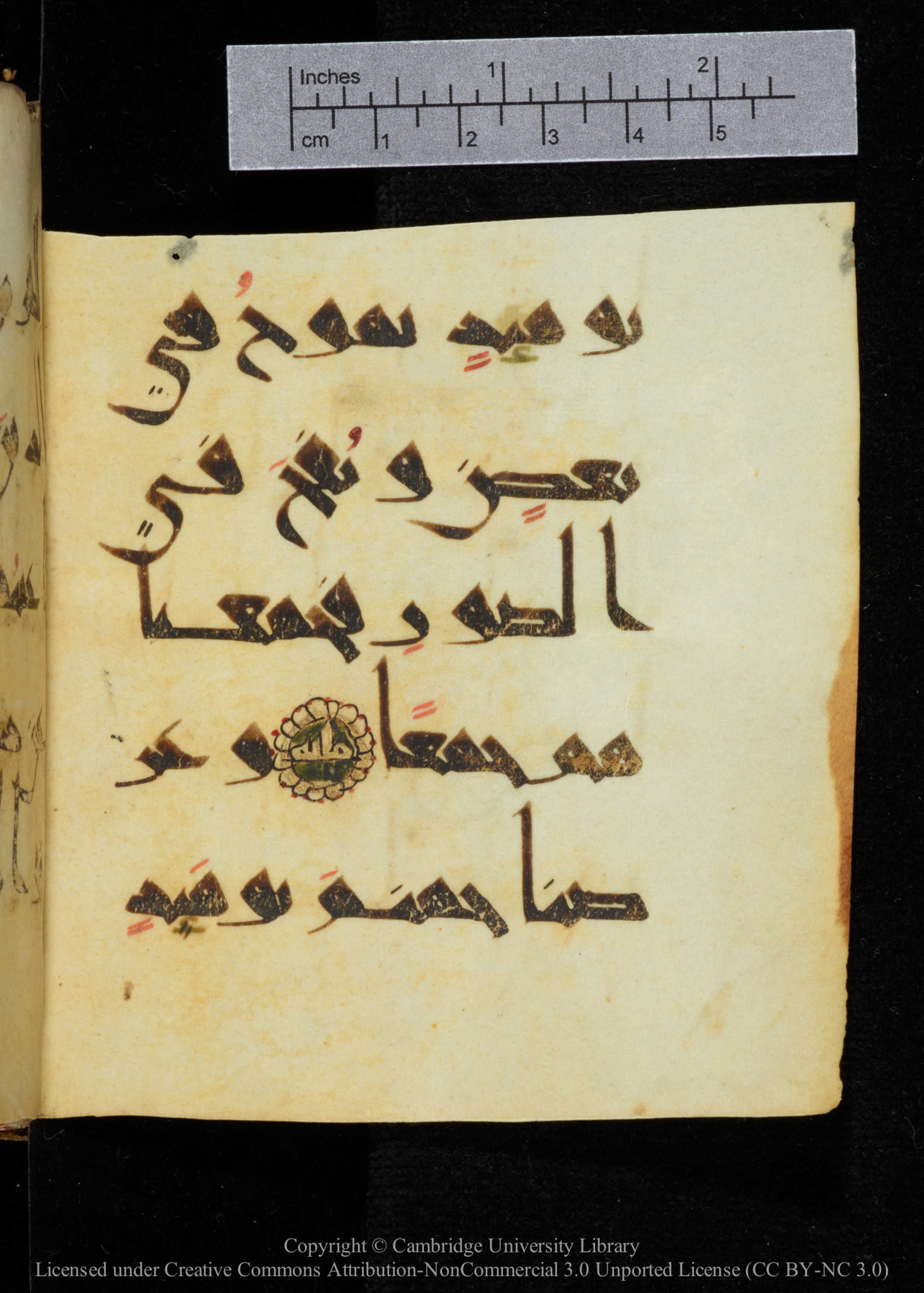 Cambridge, Cambridge University Library, MS Add.2964 (Scan 2), in New Style I script, showing Surah 18:99 from 10th to 11th Century AD found in Unknown, currently housed at Cambridge University Library, Cambridge