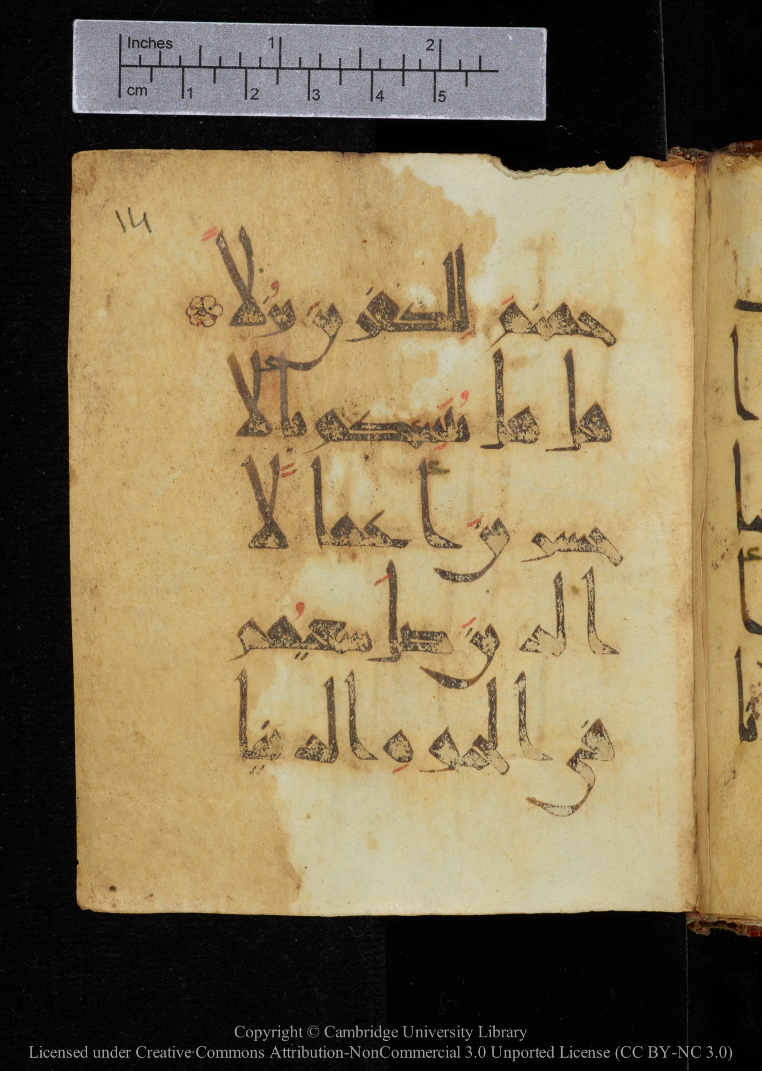 Cambridge, Cambridge University Library, MS Add.2964, in New Style I script, showing Surah 18:103 from 10th to 11th Century AD found in Unknown, currently housed at Cambridge University Library, Cambridge