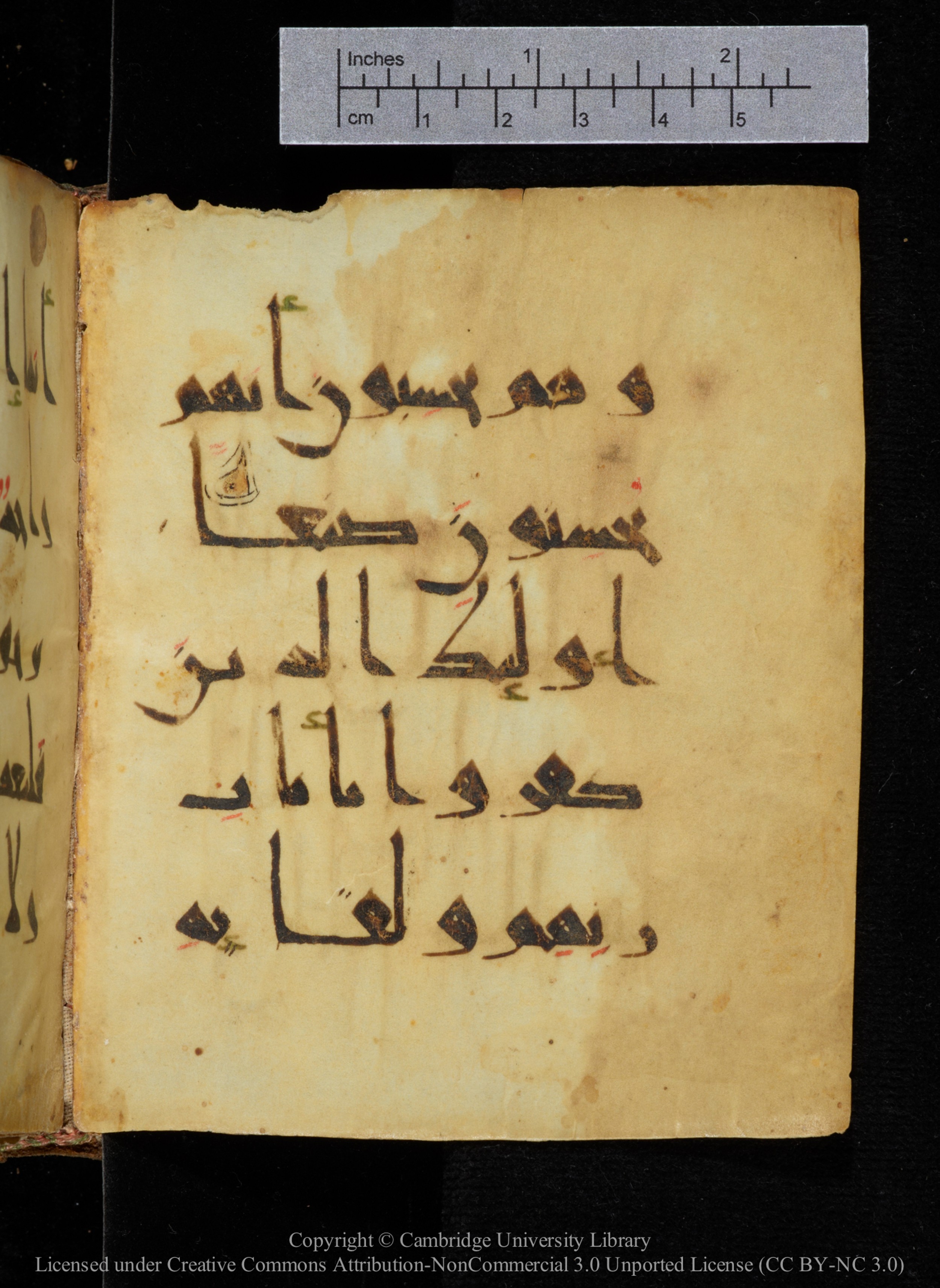 Cambridge, Cambridge University Library, MS Add.2964, in New Style I script, showing Surah 18:105 from 10th to 11th Century AD found in Unknown, currently housed at Cambridge University Library, Cambridge