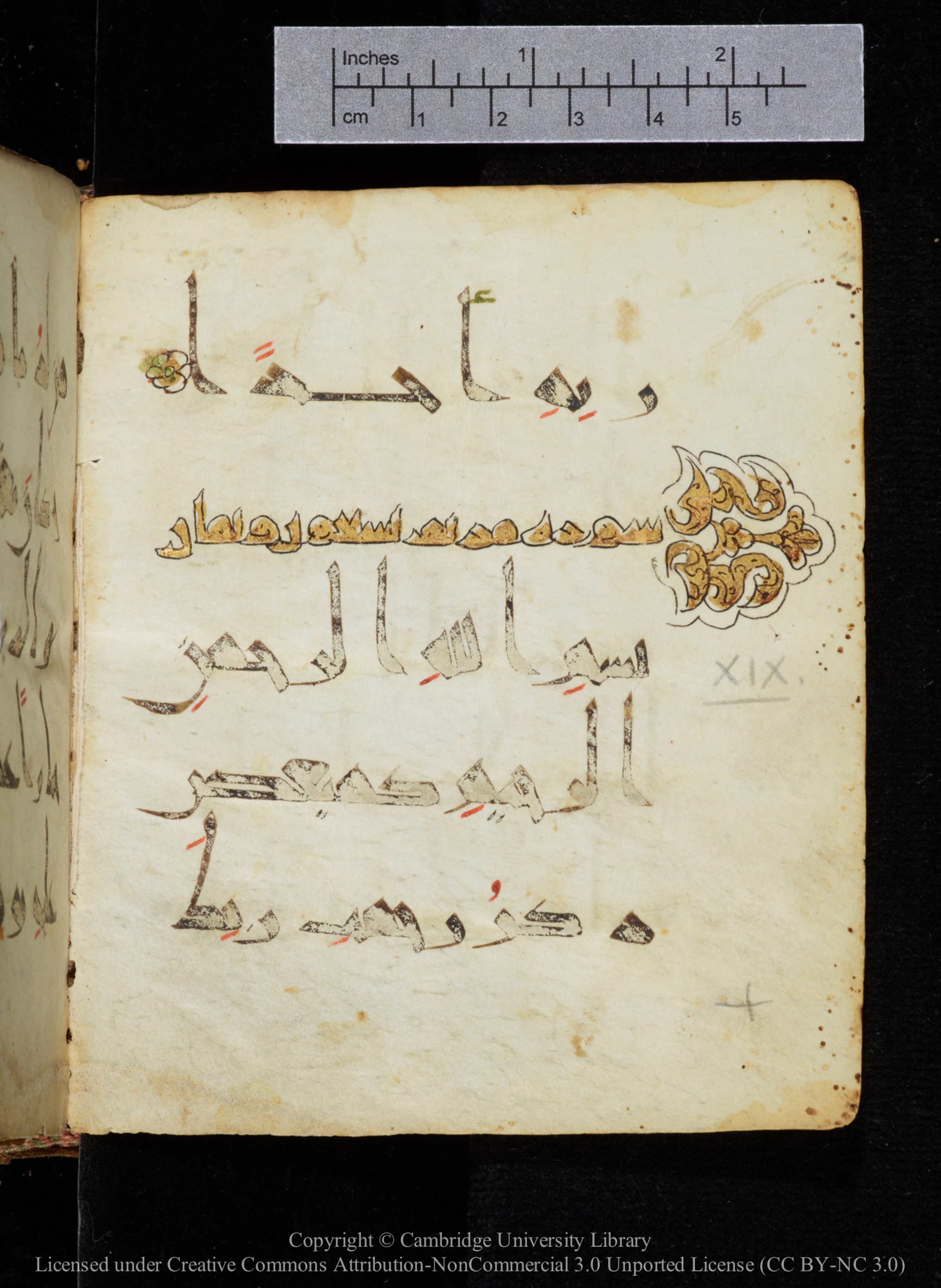 Cambridge, Cambridge University Library, MS Add.2964 (Scan 1), in New Style I script, showing Surah 19:2 from 10th to 11th Century AD found in Unknown, currently housed at Cambridge University Library, Cambridge