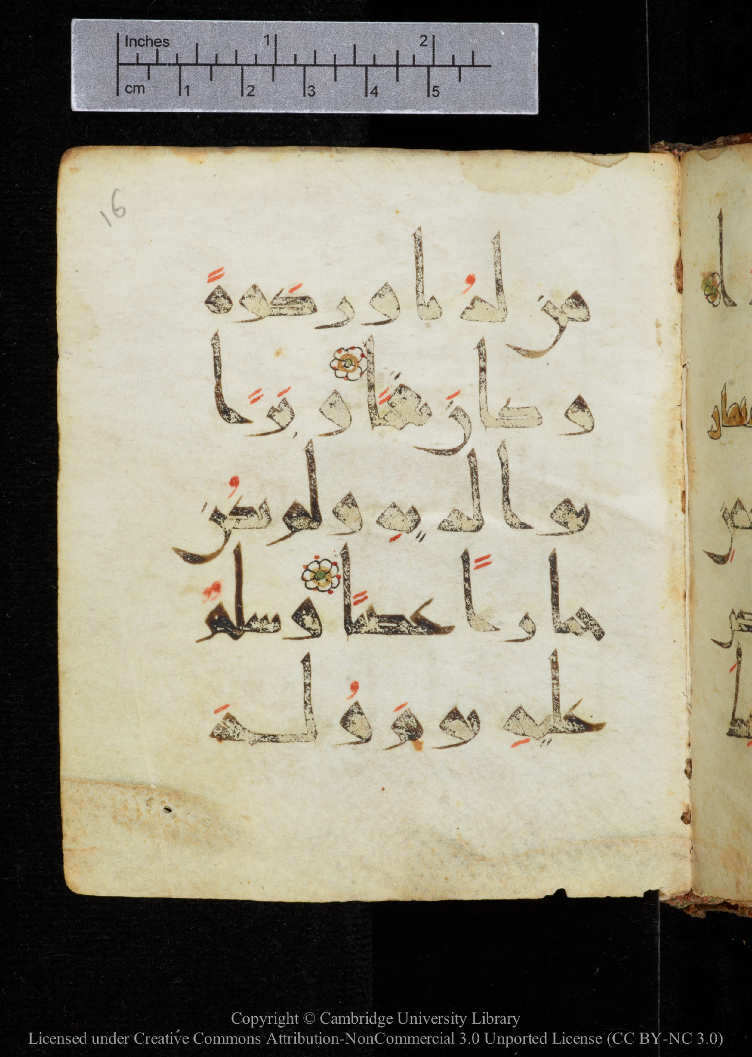 Cambridge, Cambridge University Library, MS Add.2964 (Scan 1), in New Style I script, showing Surah 19:13 from 10th to 11th Century AD found in Unknown, currently housed at Cambridge University Library, Cambridge