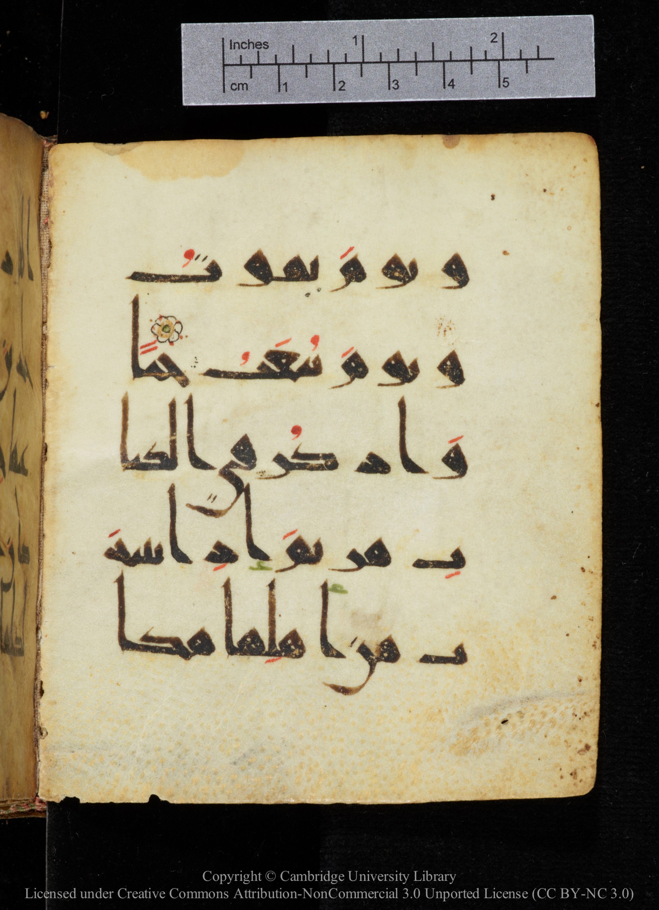 Cambridge, Cambridge University Library, MS Add.2964 (Scan 1), in New Style I script, showing Surah 19:16 from 10th to 11th Century AD found in Unknown, currently housed at Cambridge University Library, Cambridge