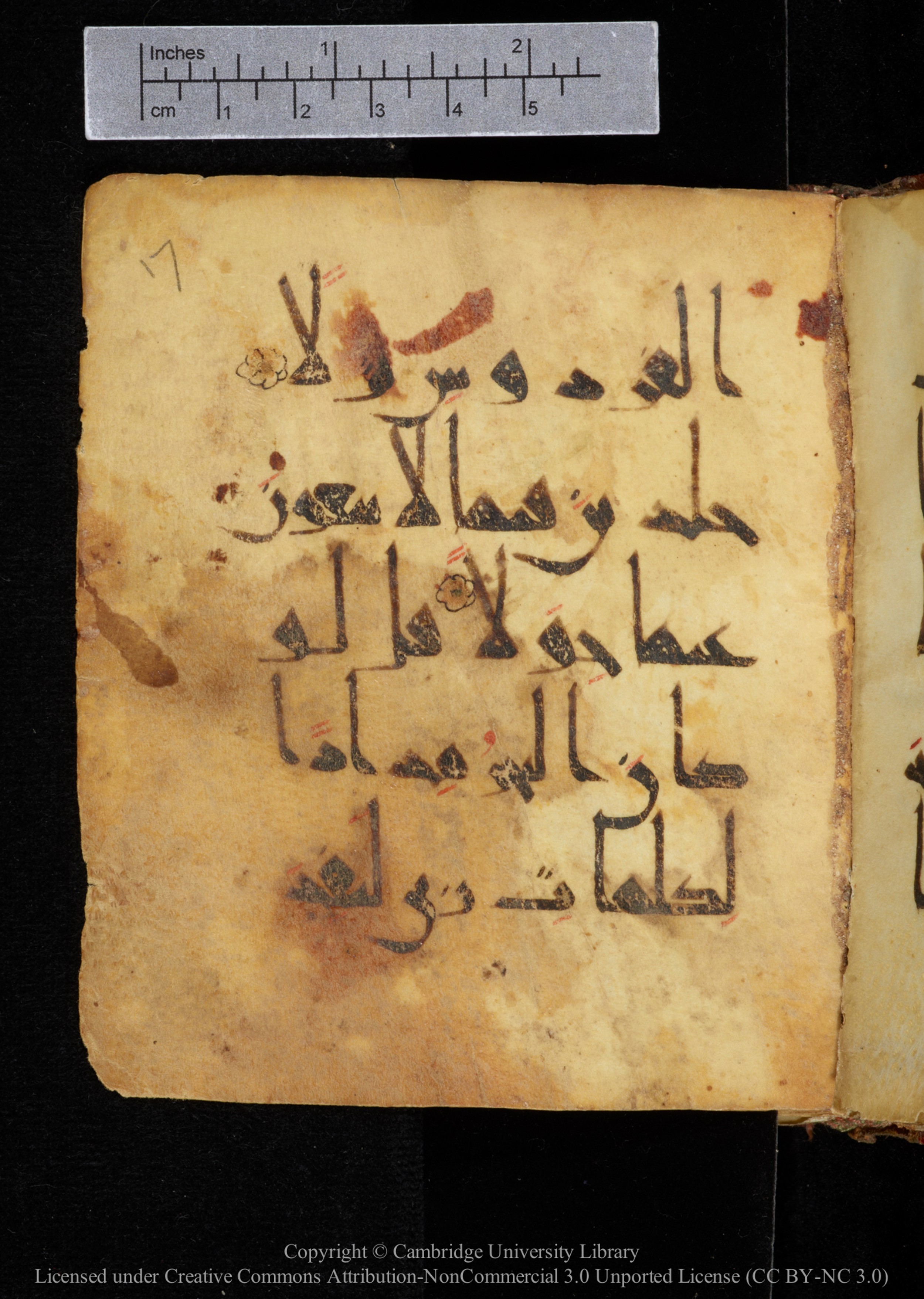 Cambridge, Cambridge University Library, MS Add.2964, in New Style I script, showing Surah 18:108 from 10th to 11th Century AD found in Unknown, currently housed at Cambridge University Library, Cambridge