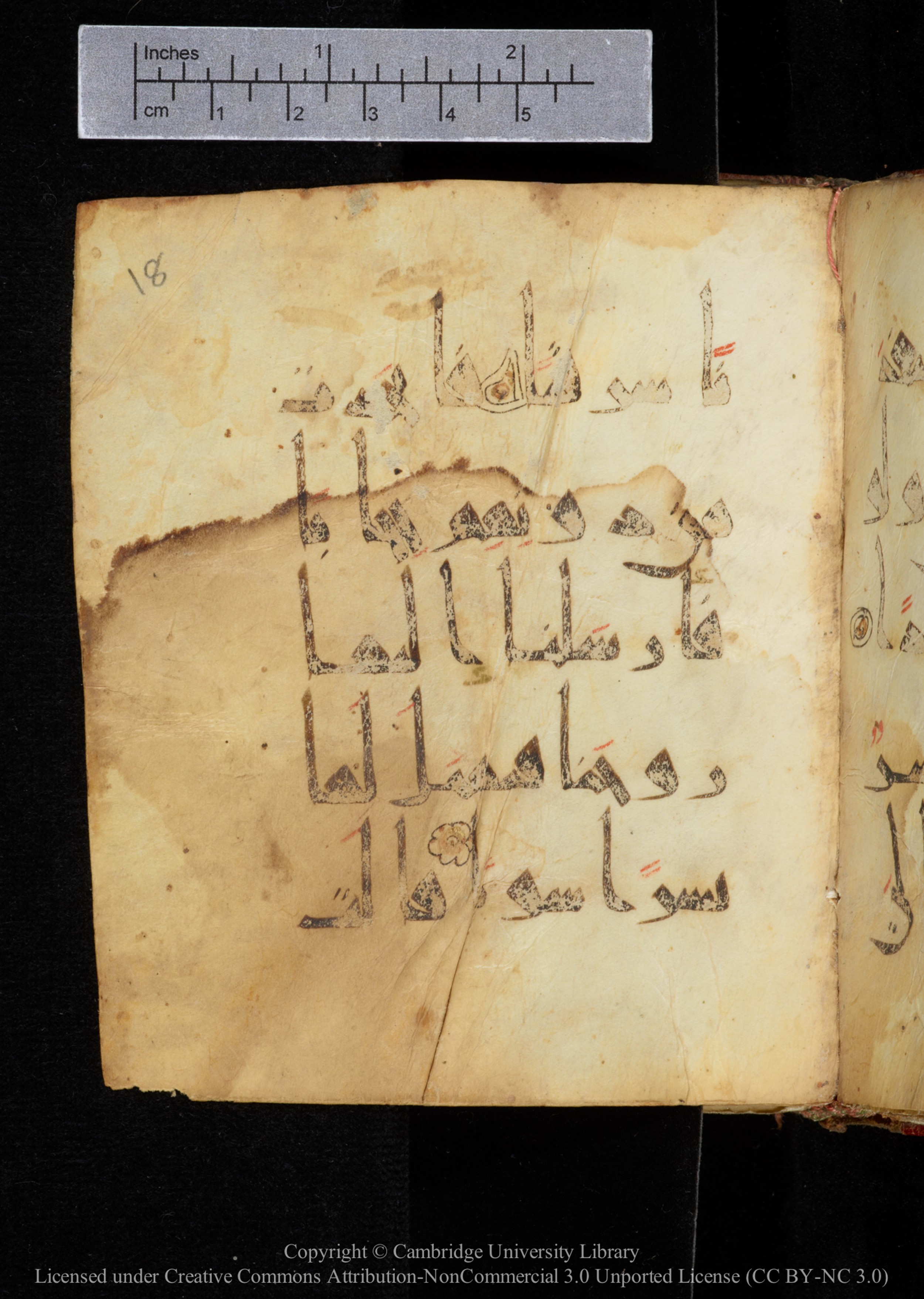 Cambridge, Cambridge University Library, MS Add.2964 (Scan 2), in New Style I script, showing Surah 19:16 from 10th to 11th Century AD found in Unknown, currently housed at Cambridge University Library, Cambridge