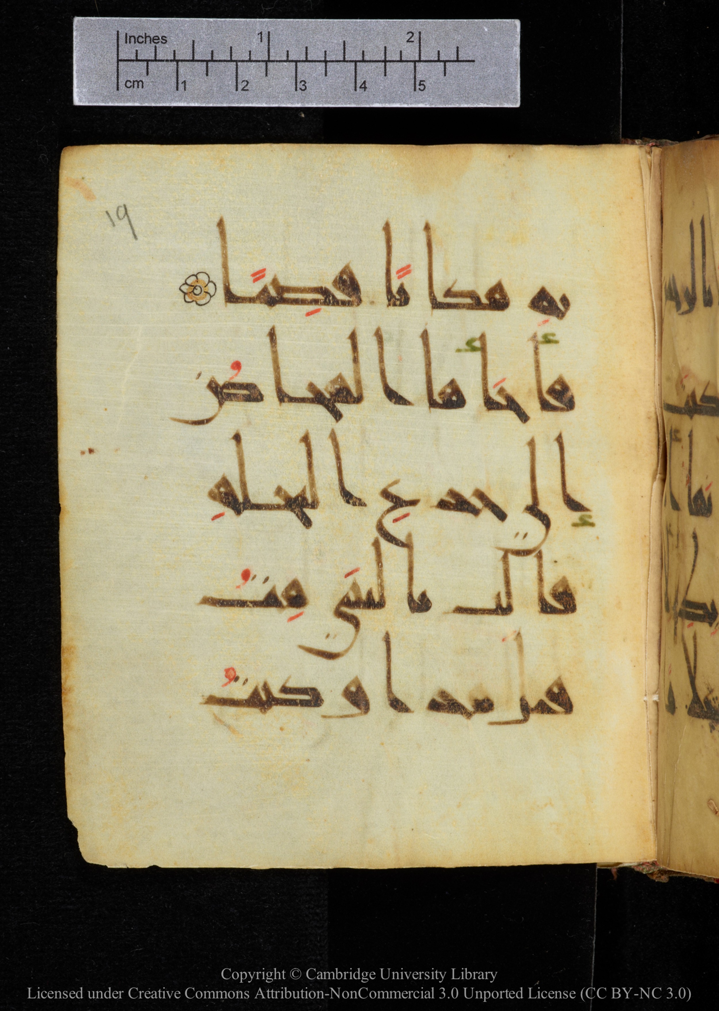 Cambridge, Cambridge University Library, MS Add.2964, in New Style I script, showing Surah 19:22 from 10th to 11th Century AD found in Unknown, currently housed at Cambridge University Library, Cambridge